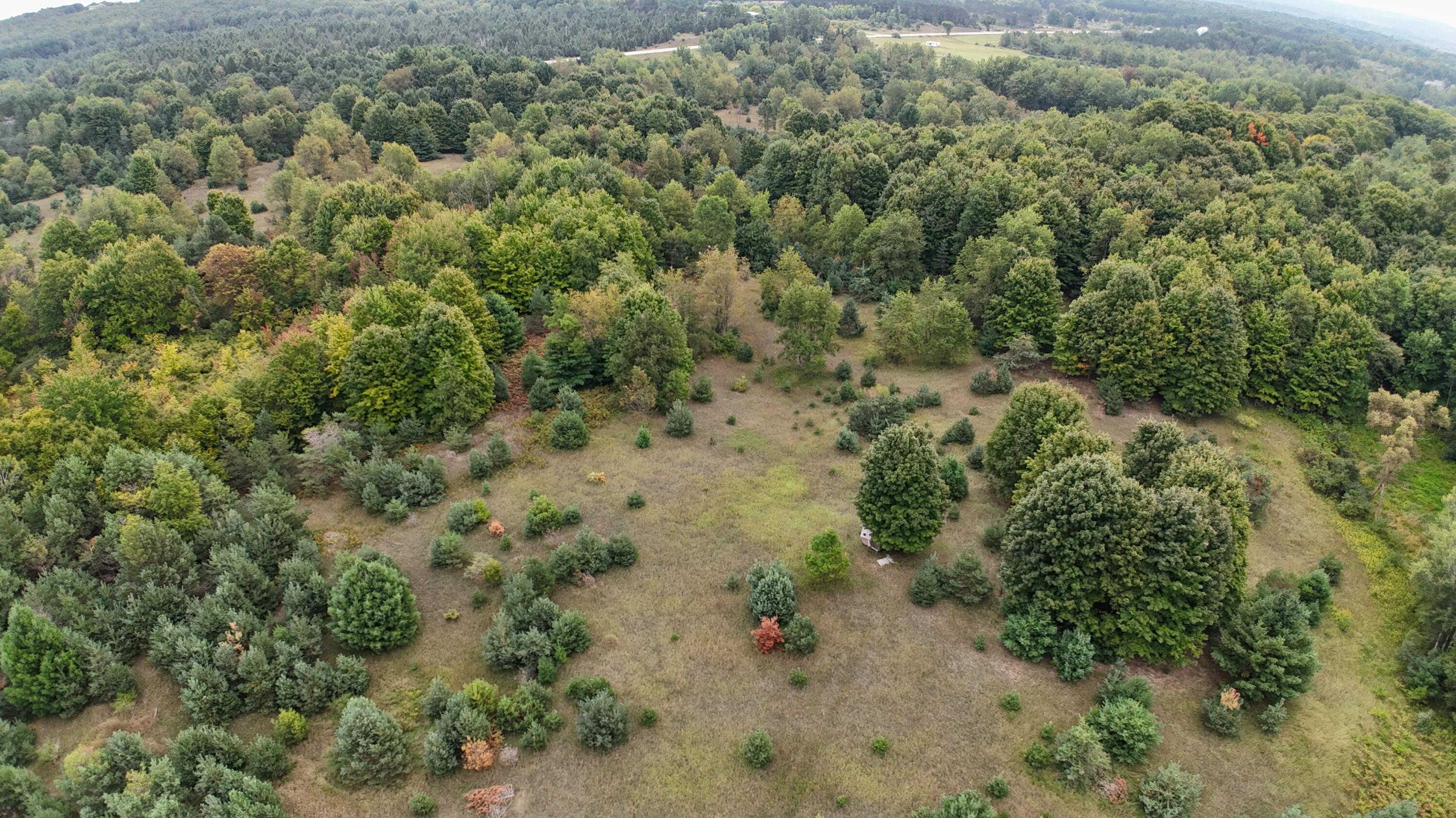 Lumley Road Bear Lake, MI 49614 - Photo 20 of 45 DJI_20250911115452_0063_D