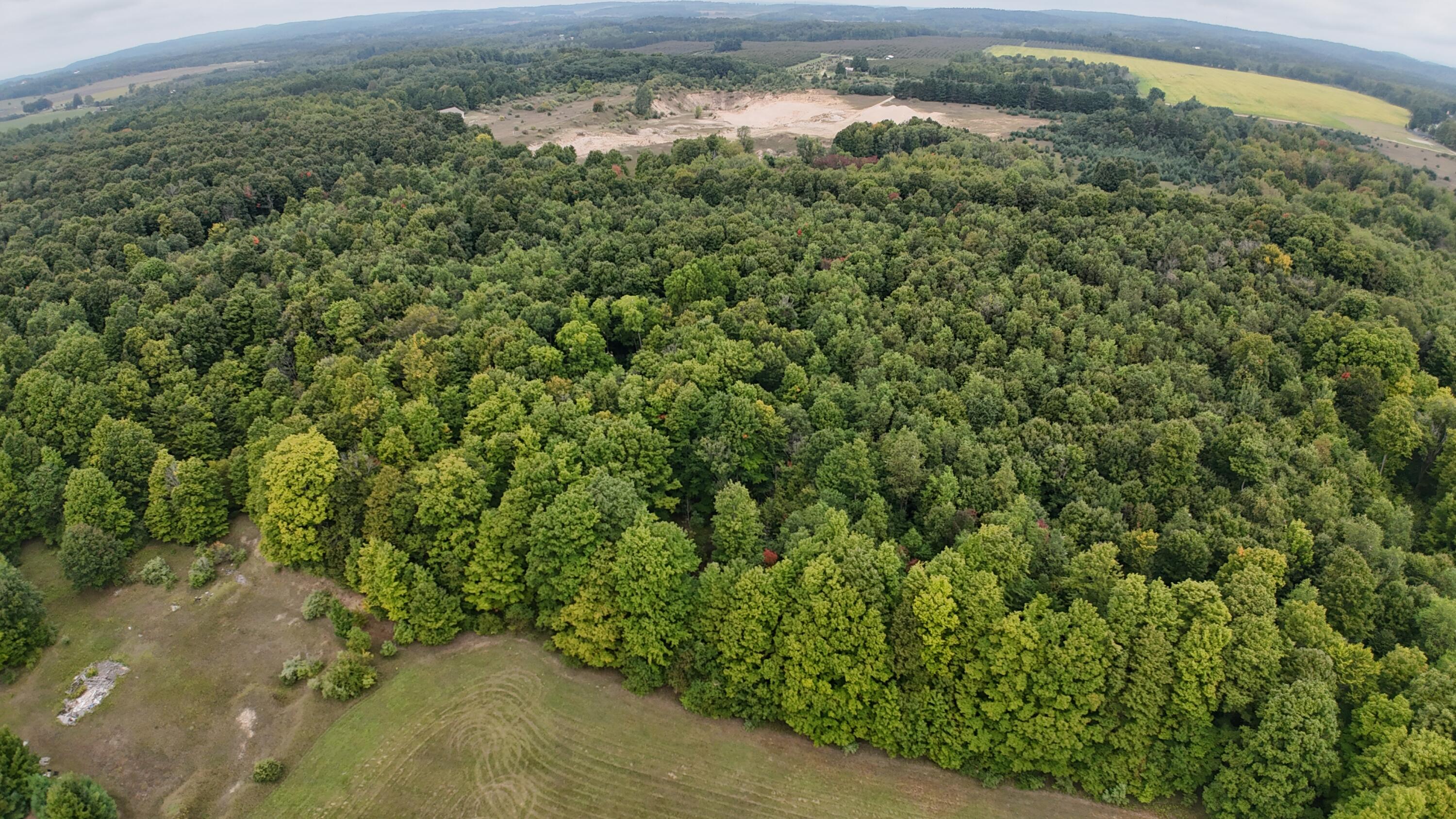 Lumley Road Bear Lake, MI 49614 - Photo 22 of 45 DJI_20250911115651_0069_D