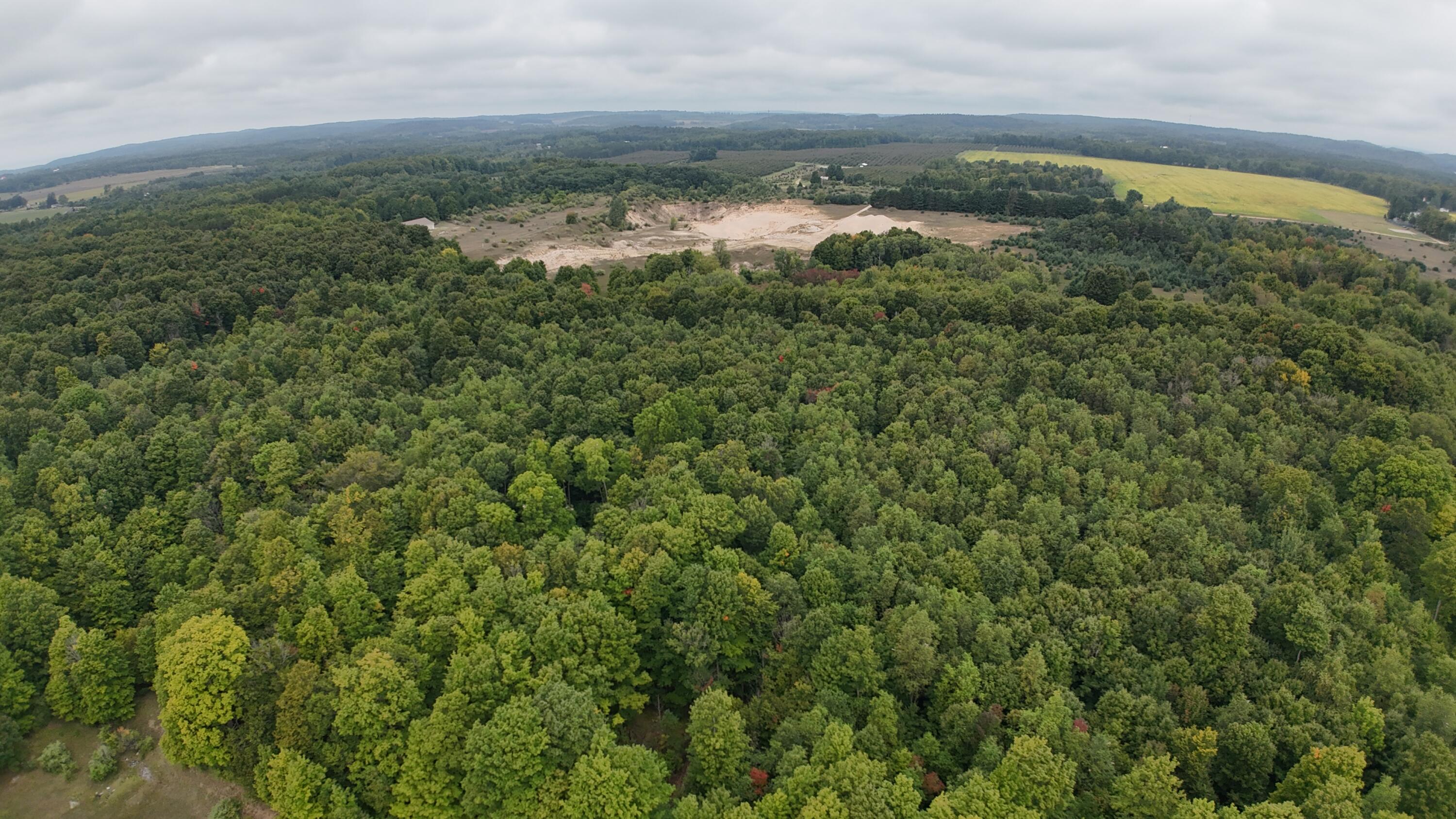 Lumley Road Bear Lake, MI 49614 - Photo 23 of 45 DJI_20250911115709_0071_D