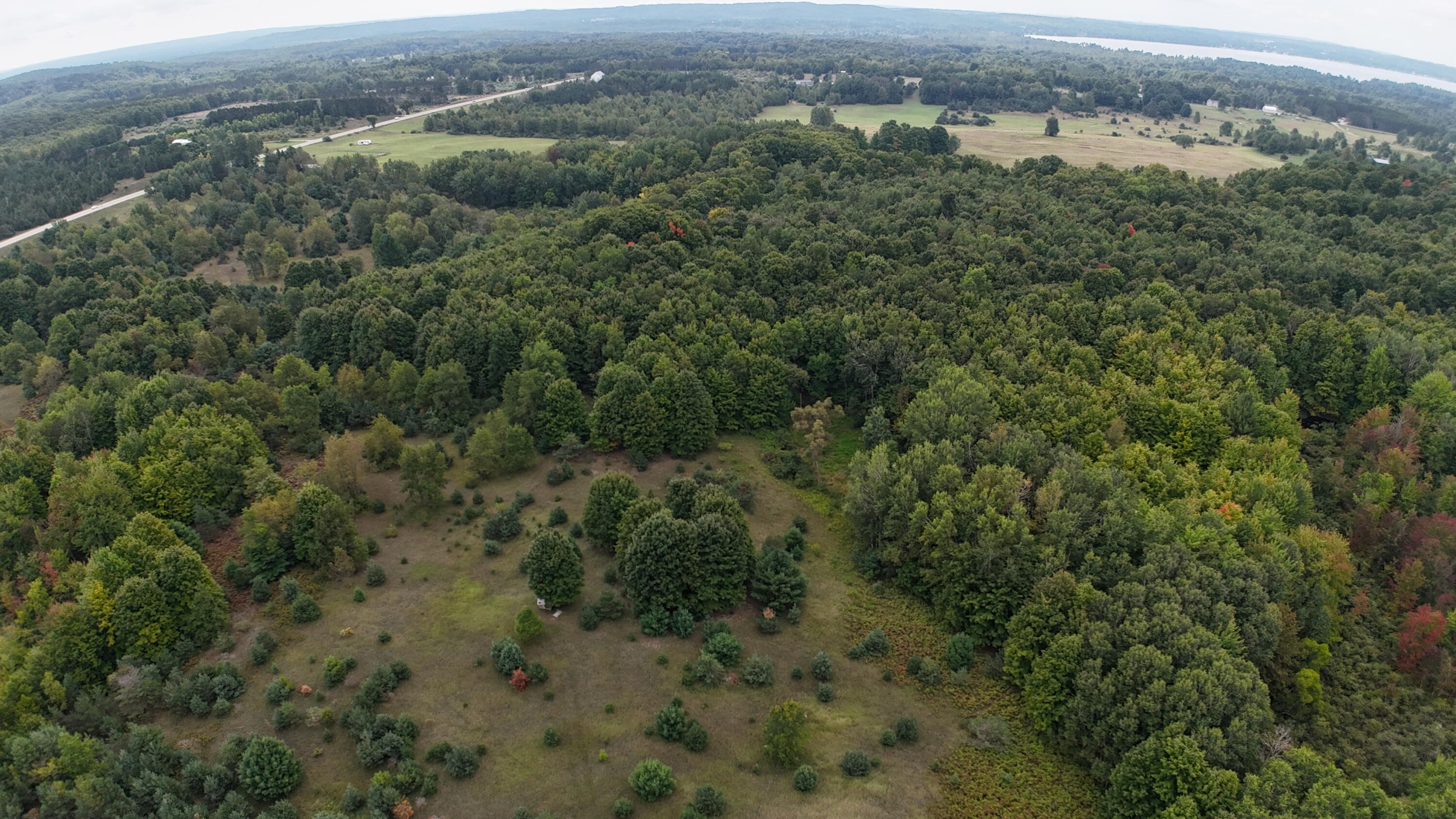 Lumley Road Bear Lake, MI 49614 - Photo 30 of 45 DJI_20250911115415_0057_D