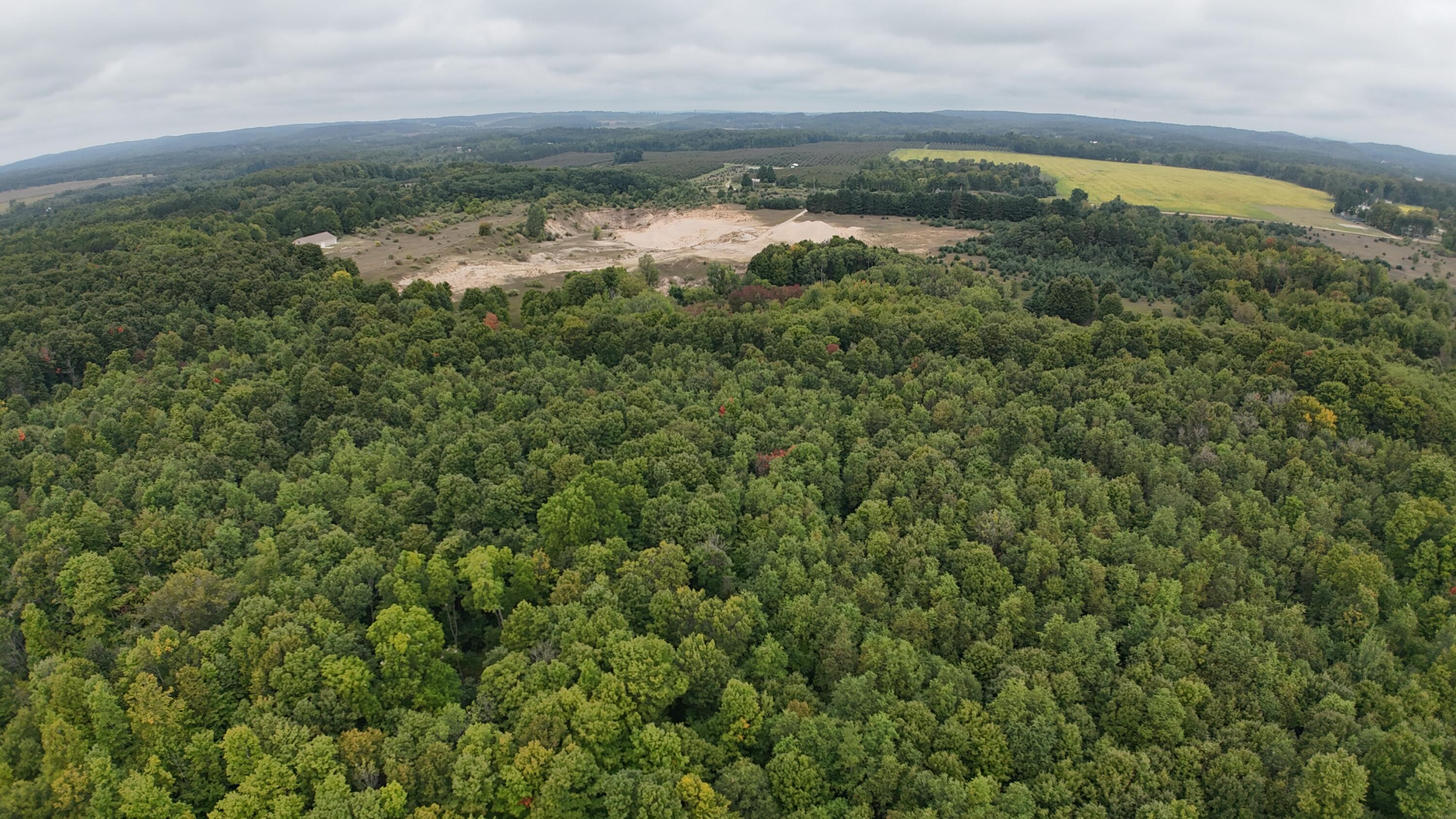 Lumley Road Bear Lake, MI 49614 - Photo 31 of 45 DJI_20250911115716_0072_D