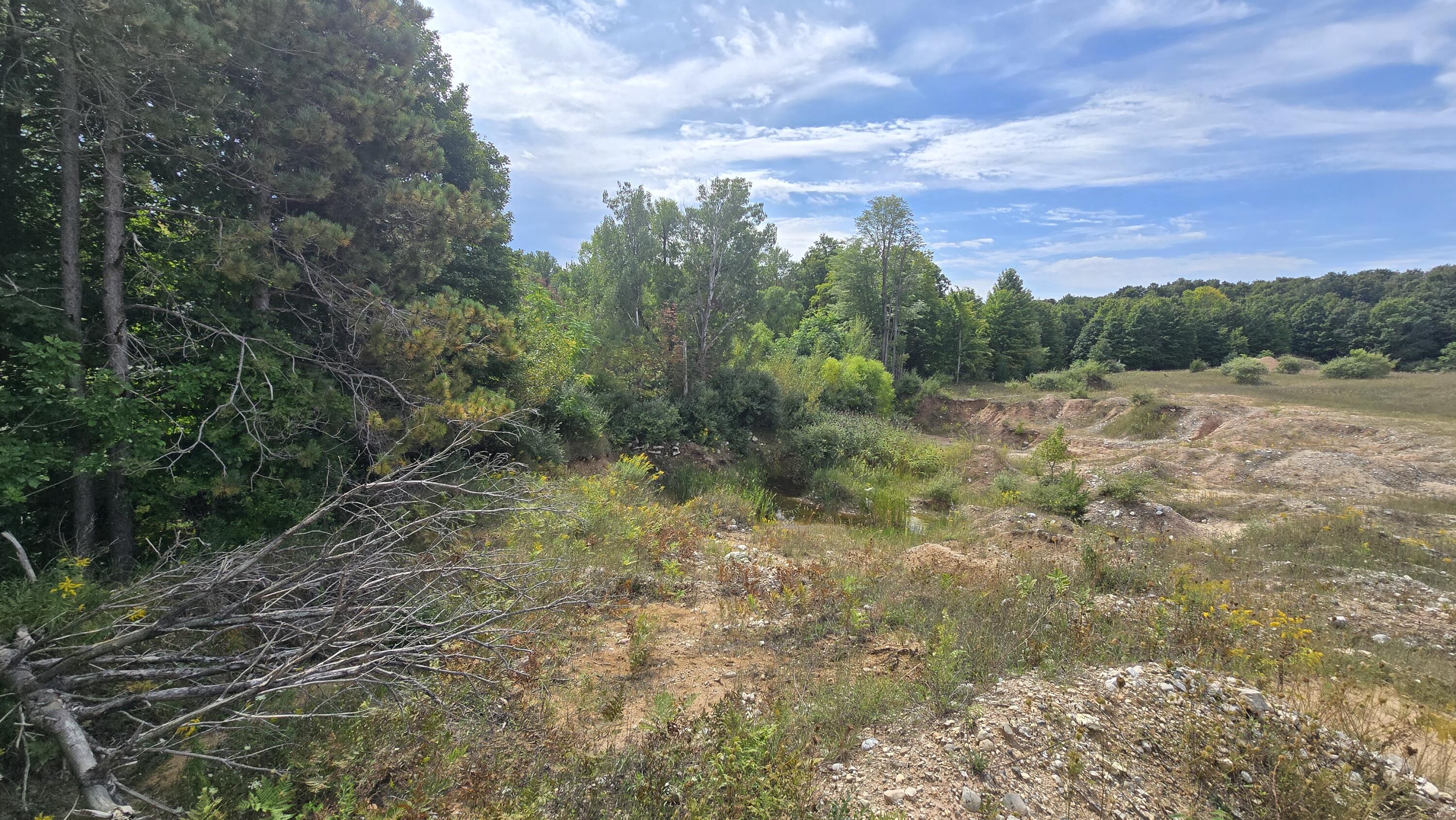 Lumley Road Bear Lake, MI 49614 - Photo 33 of 45 20250910_130612