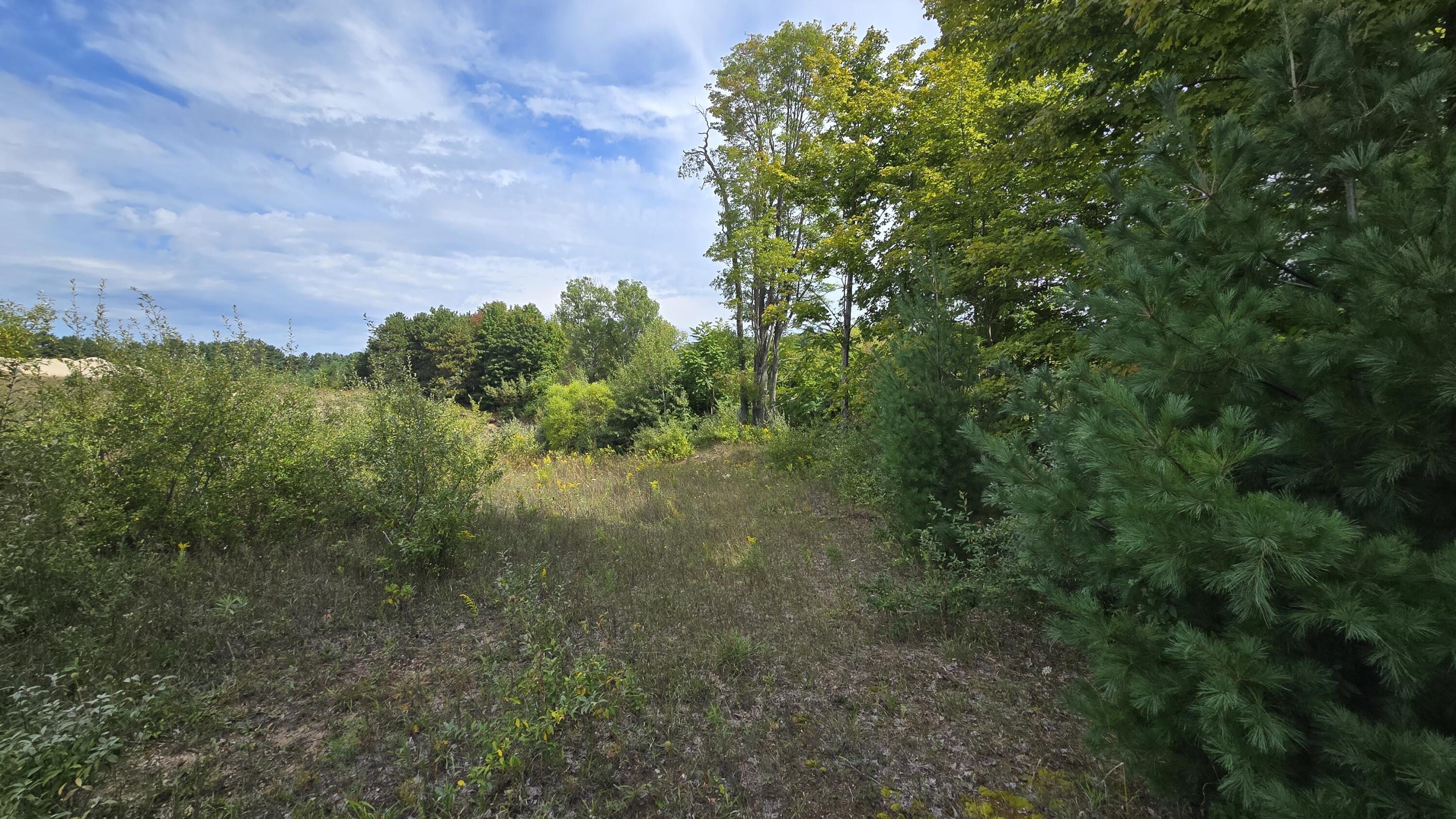 Lumley Road Bear Lake, MI 49614 - Photo 36 of 45 20250910_132043