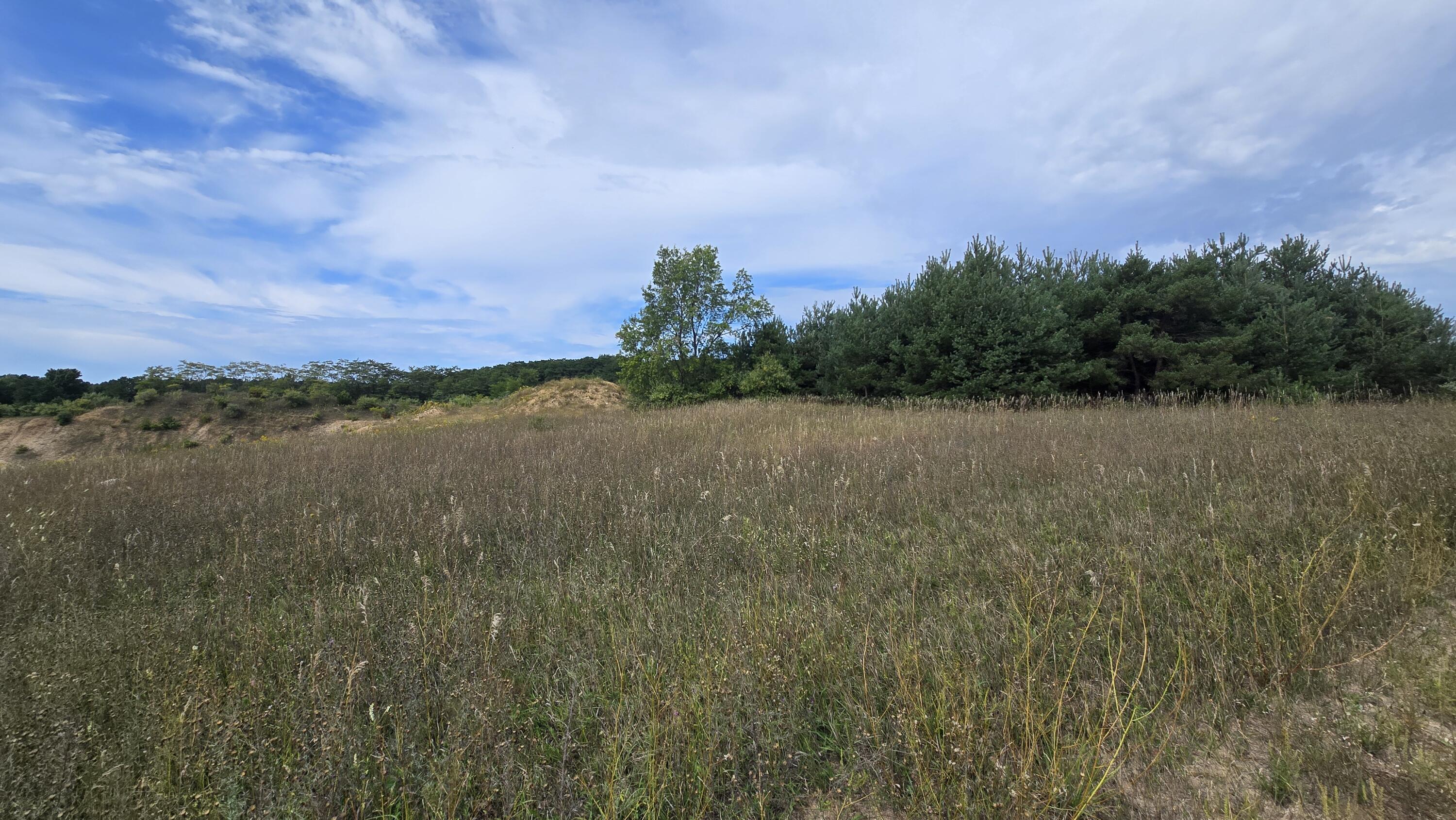 Lumley Road Bear Lake, MI 49614 - Photo 41 of 45 20250910_125224