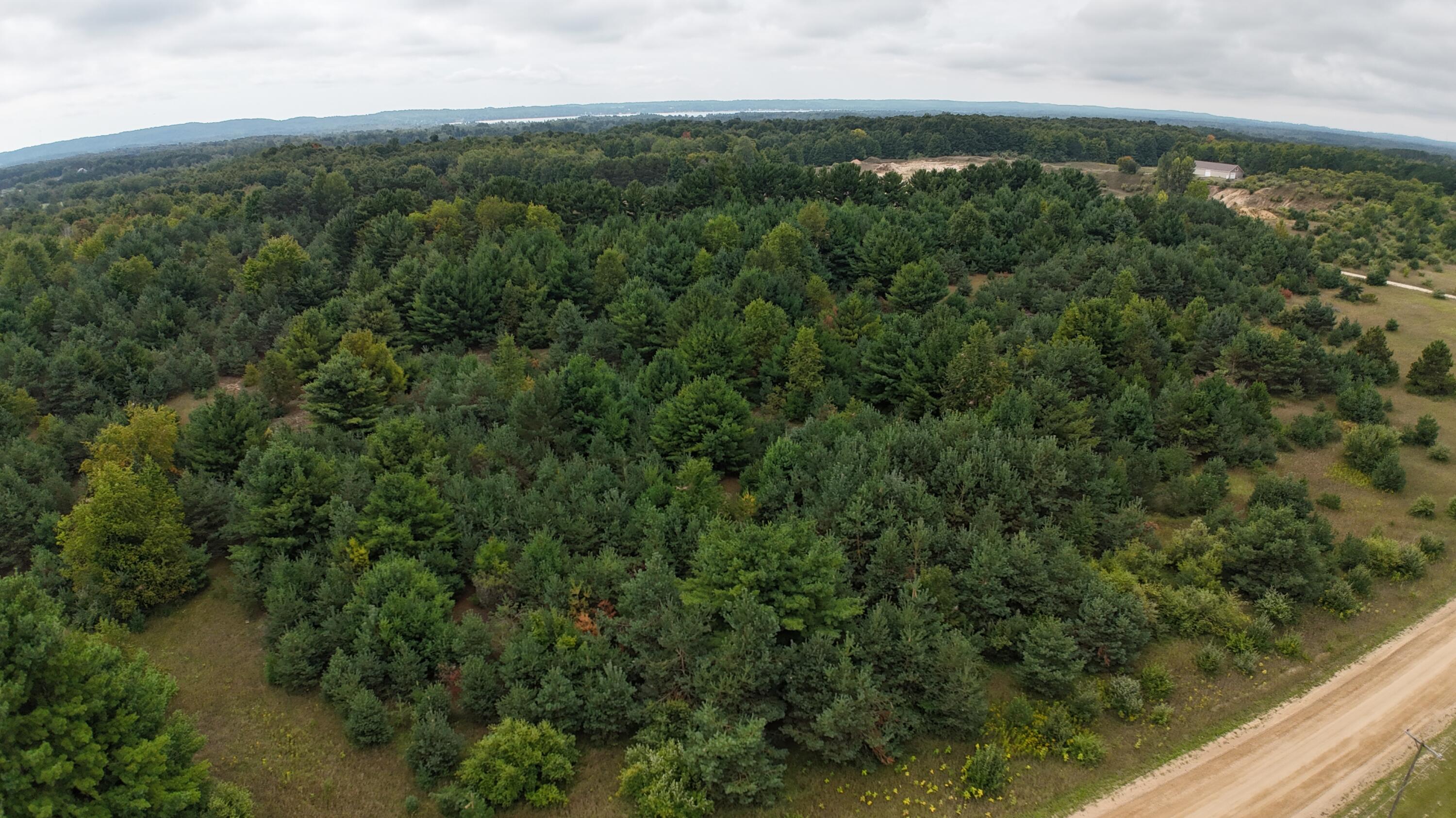 Lumley Road Bear Lake, MI 49614 - Photo 8 of 45 DJI_20250911115112_0038_D