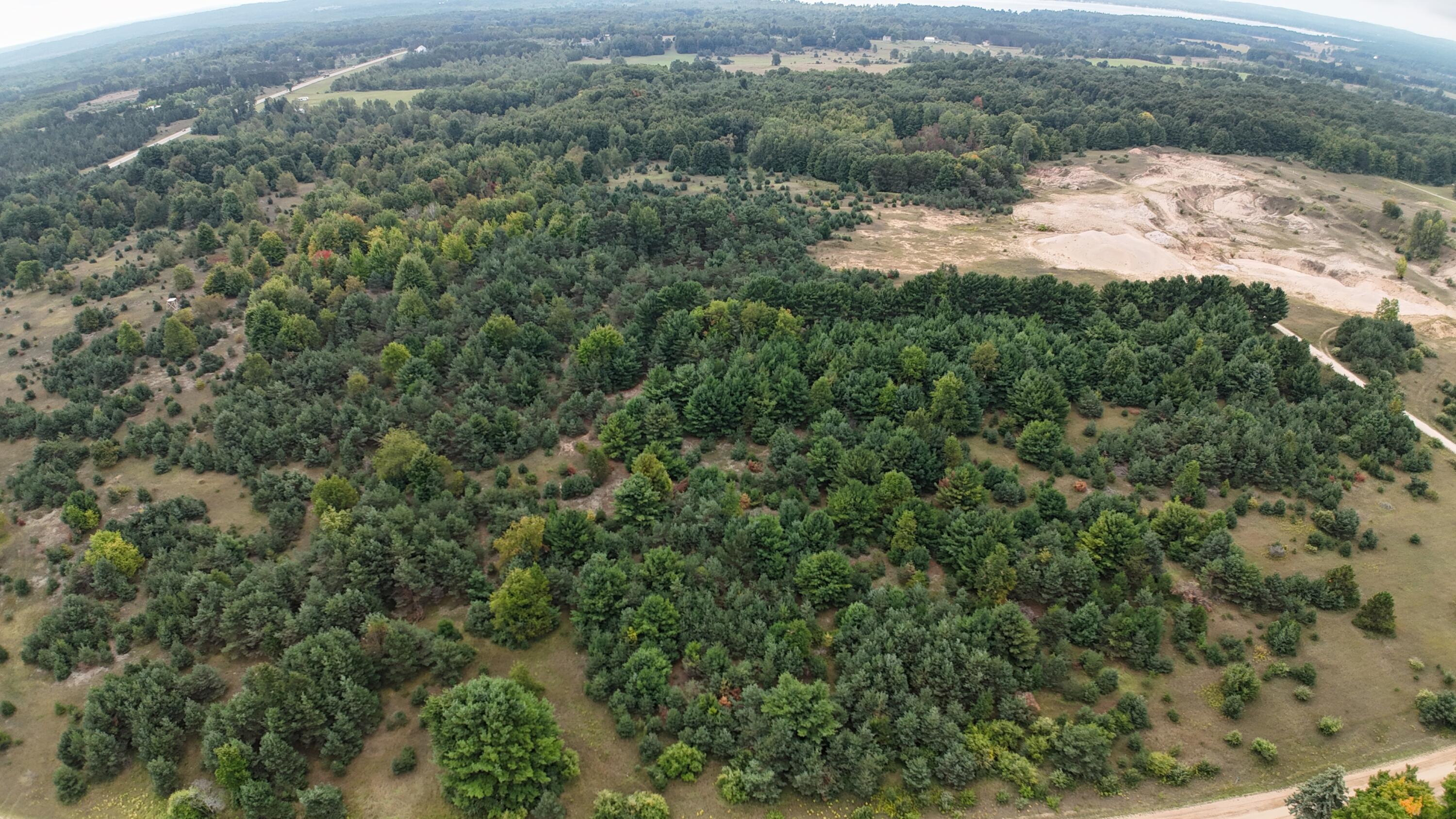 Lumley Road Bear Lake, MI 49614 - Photo 9 of 45 DJI_20250911115201_0043_D