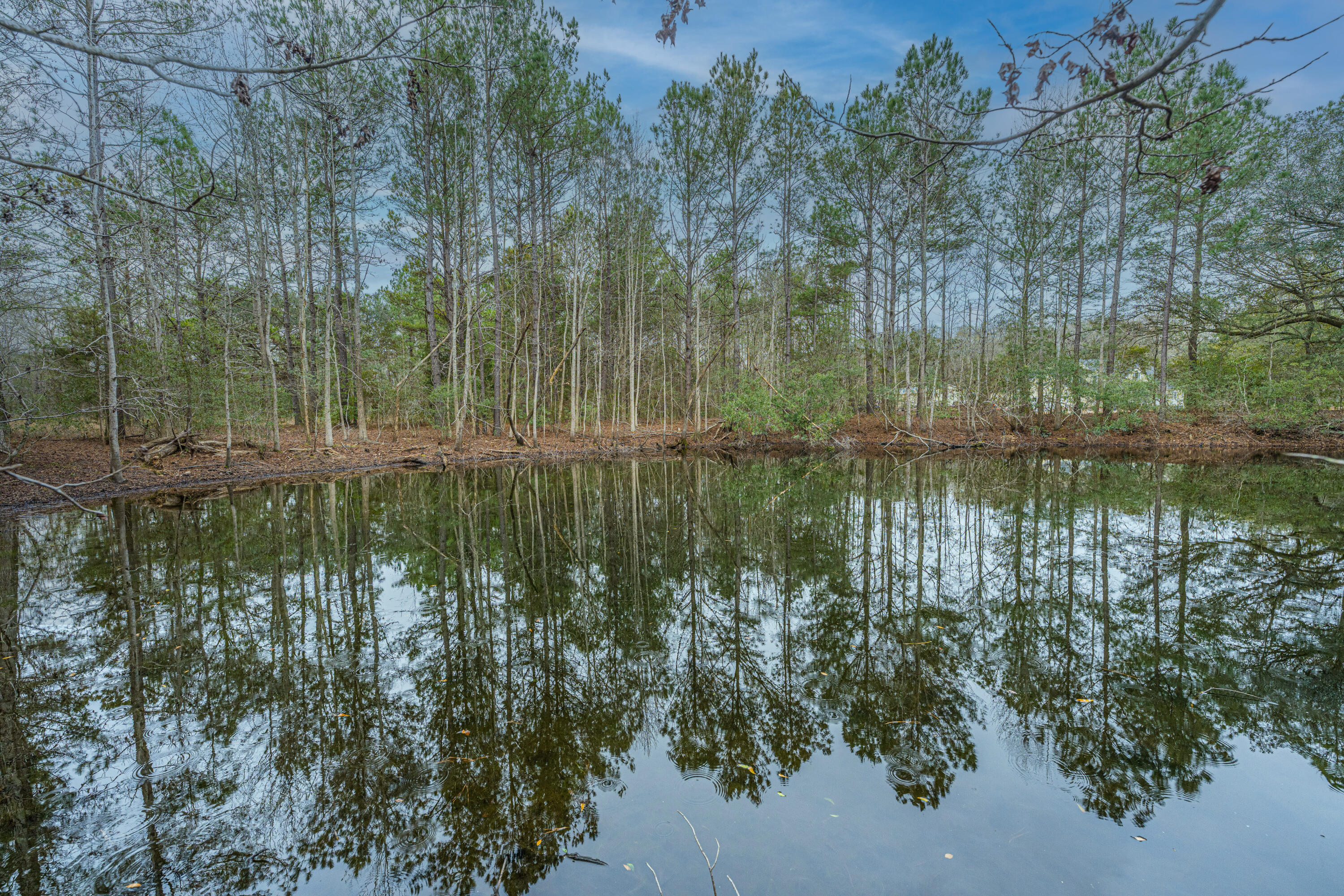 0 Elliott Estates Road Hollywood, SC 29449 - Photo 13 of 26 5553ElliottEstatesRd019