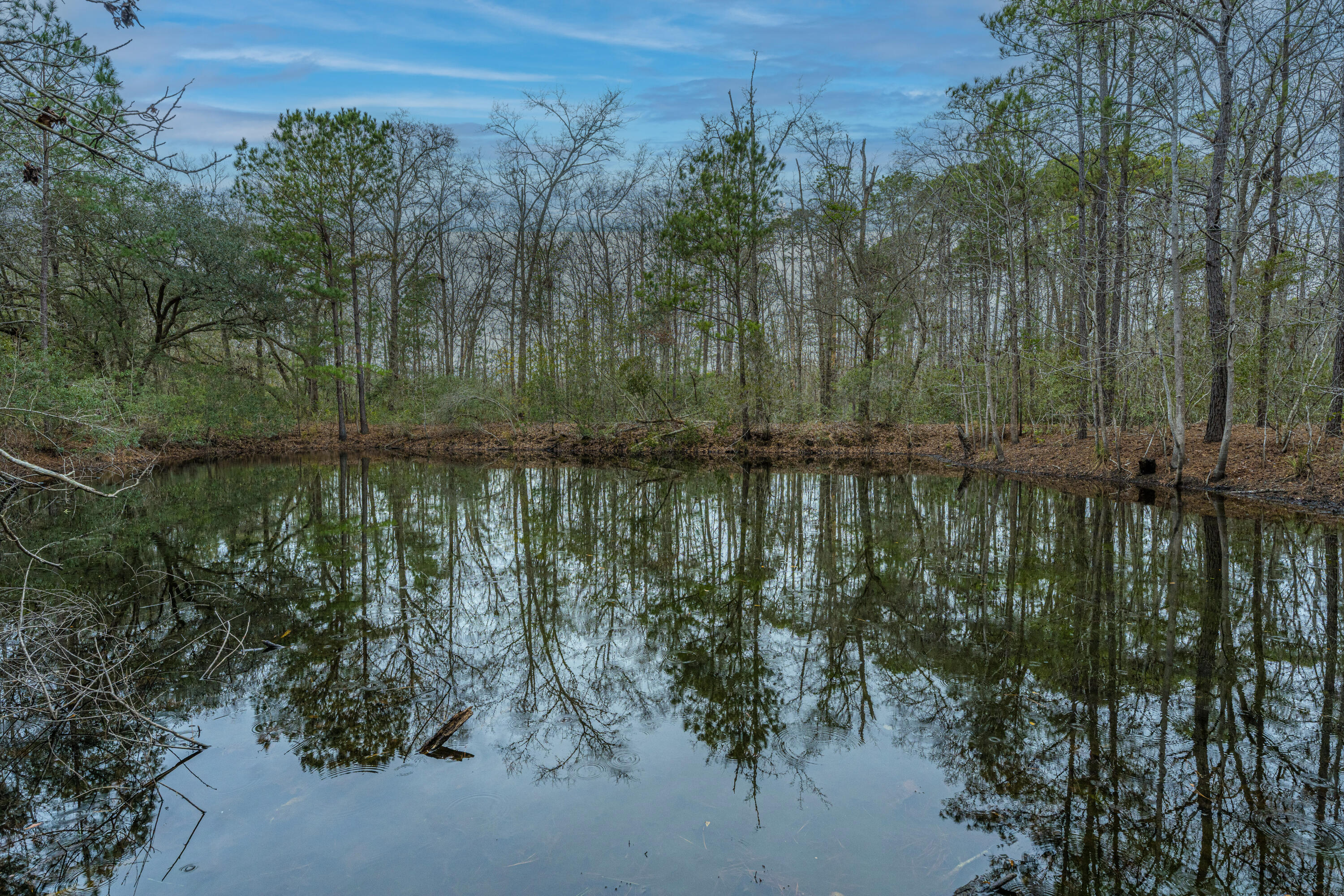 0 Elliott Estates Road Hollywood, SC 29449 - Photo 14 of 26 5553ElliottEstatesRd012