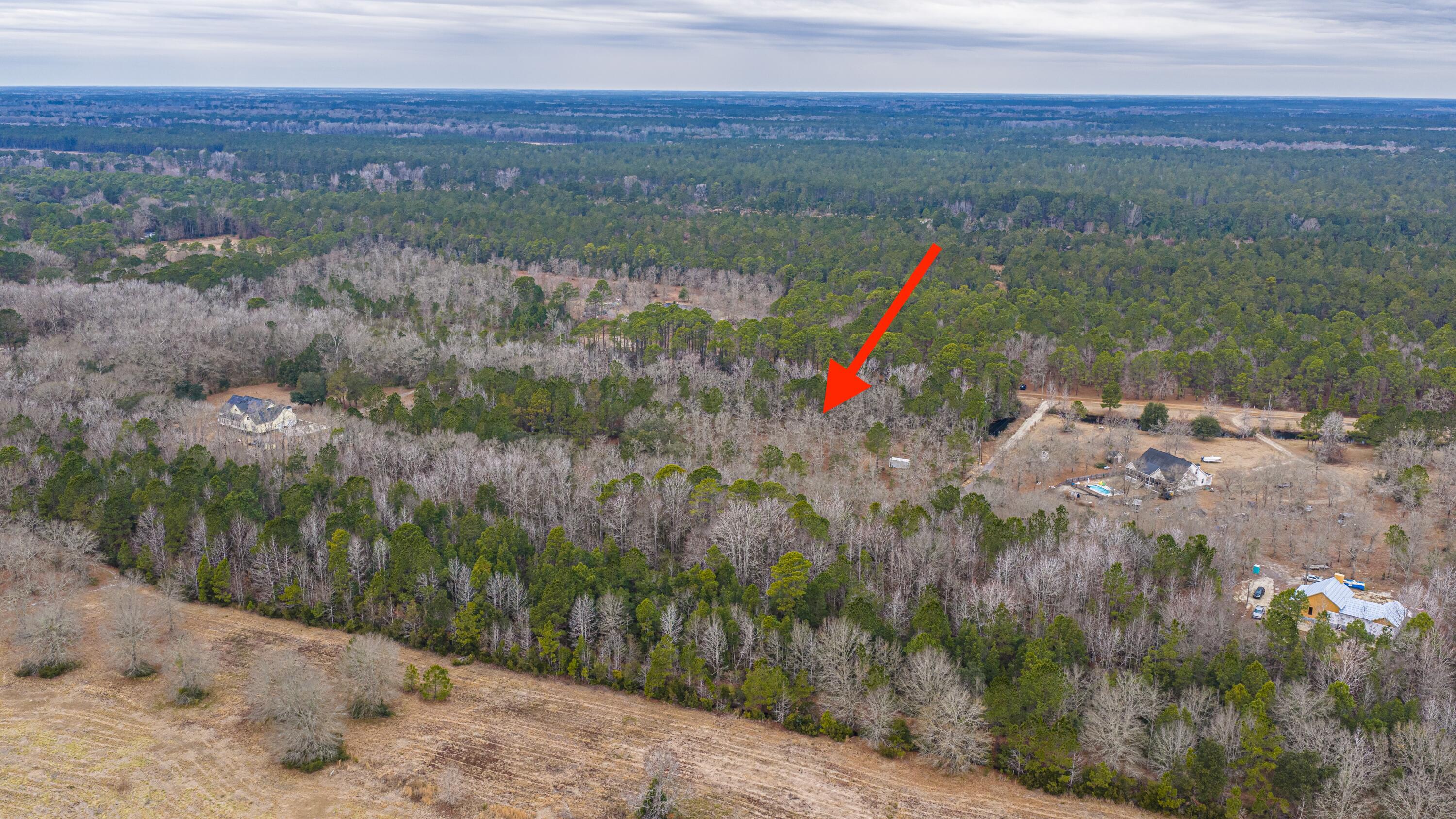 0 Elliott Estates Road Hollywood, SC 29449 - Photo 4 of 26 ElliottEstatesRd042