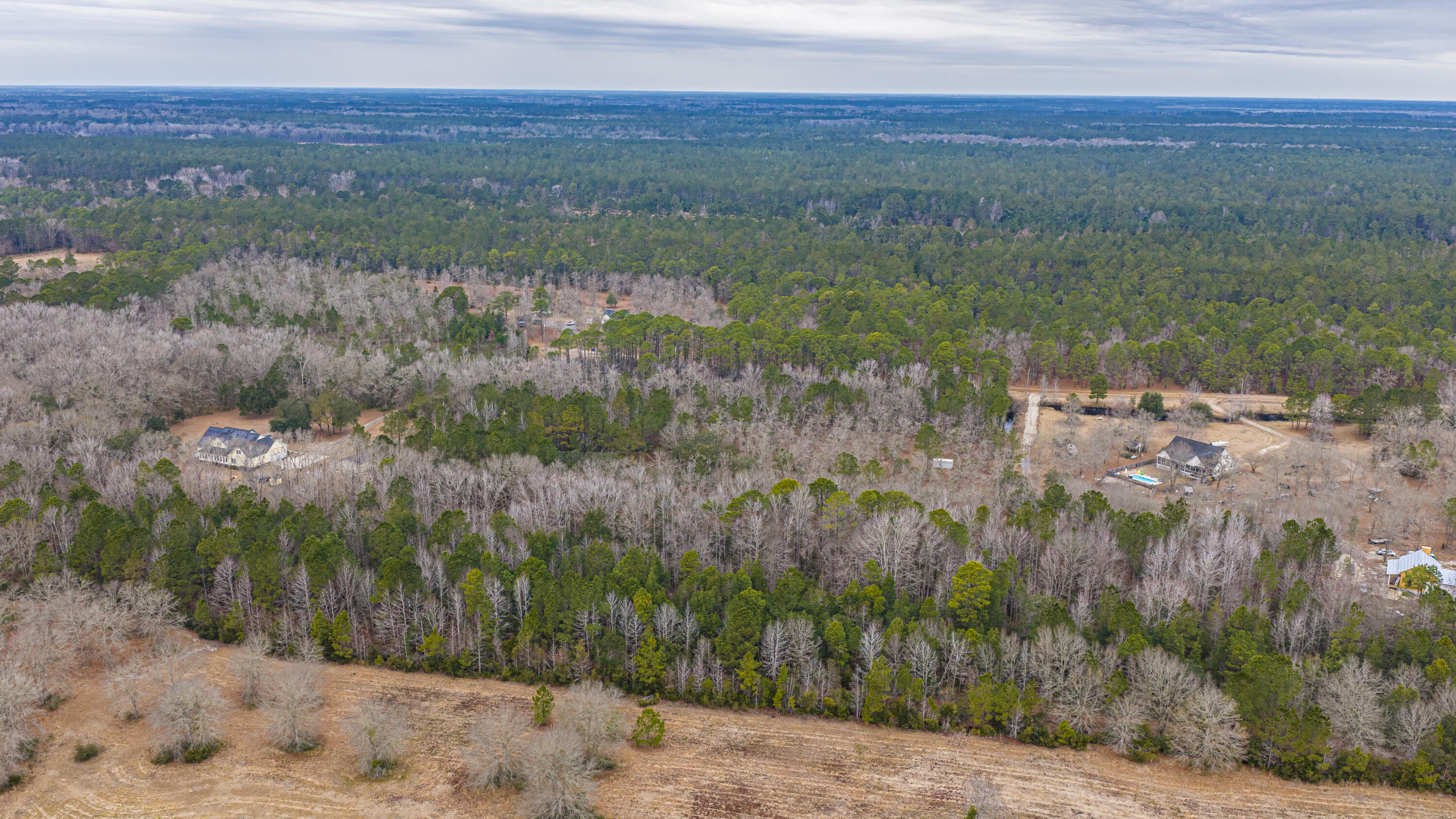 0 Elliott Estates Road Hollywood, SC 29449 - Photo 5 of 26 ElliottEstatesRd044