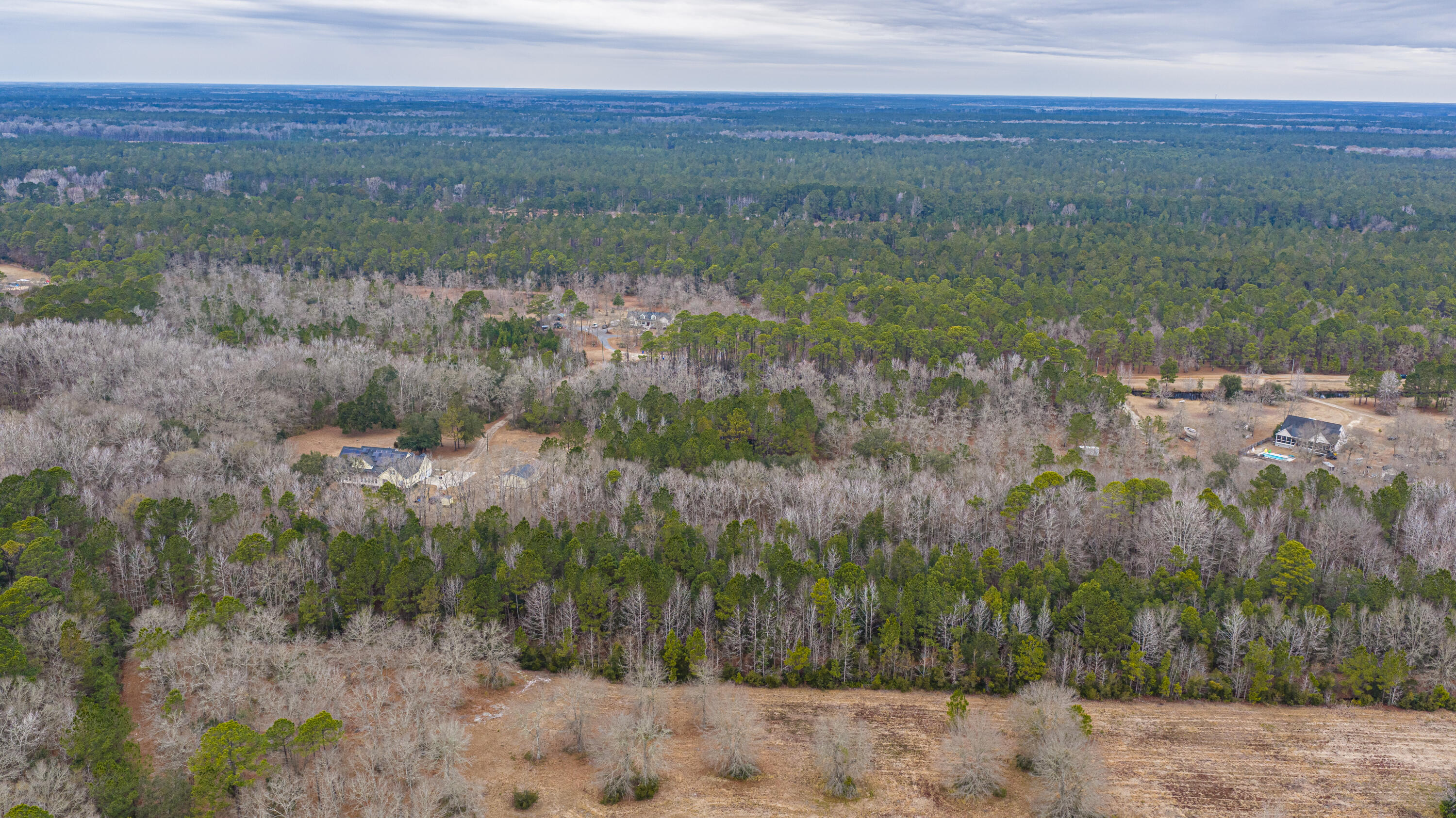 0 Elliott Estates Road Hollywood, SC 29449 - Photo 6 of 26 ElliottEstatesRd047