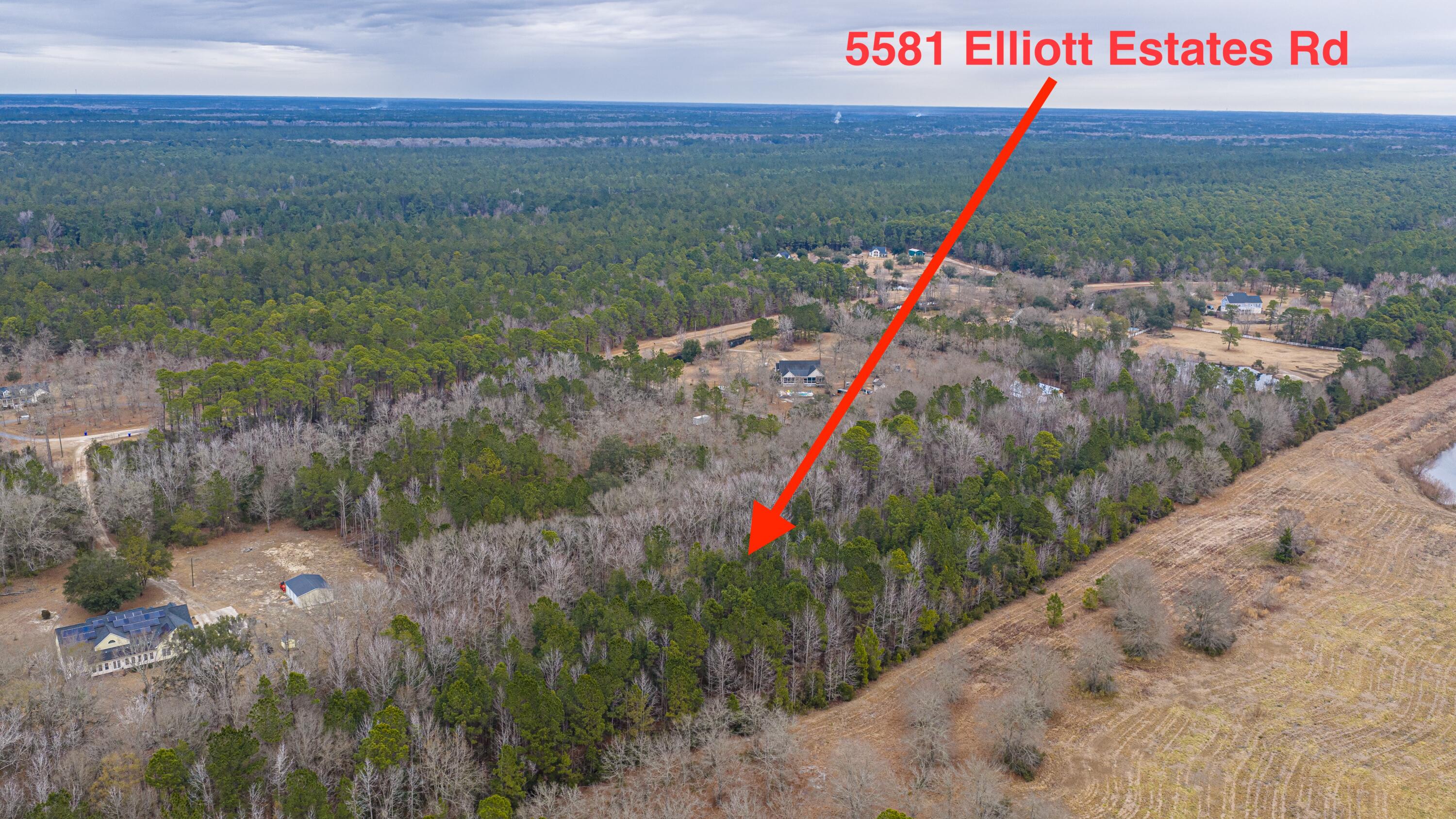 0 Elliott Estates Road Hollywood, SC 29449 - Photo 8 of 26 ElliottEstatesRd052