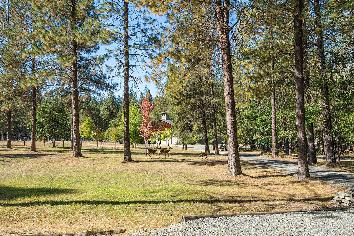 255 Davidson Road Williams, OR 97544 - Photo 38 of 82 DSC03844-HDR-Edit
