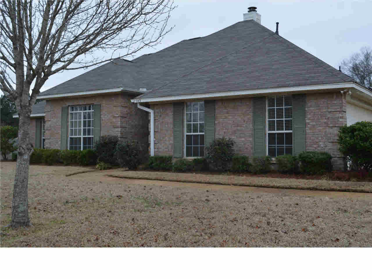 143 Planters Row Madison, MS 39110 - Photo 3 of 20 Photo 3