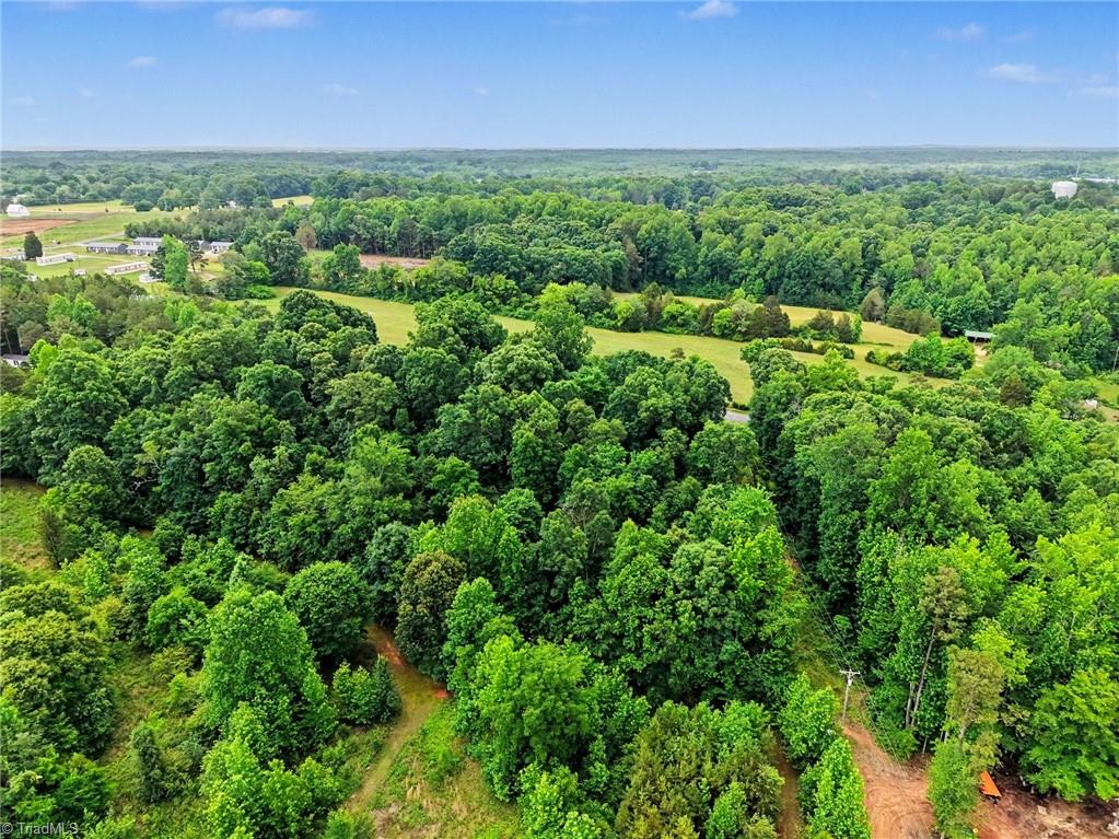 270 Della Wilson Road Lexington, NC 27295 - Photo 14 of 23
