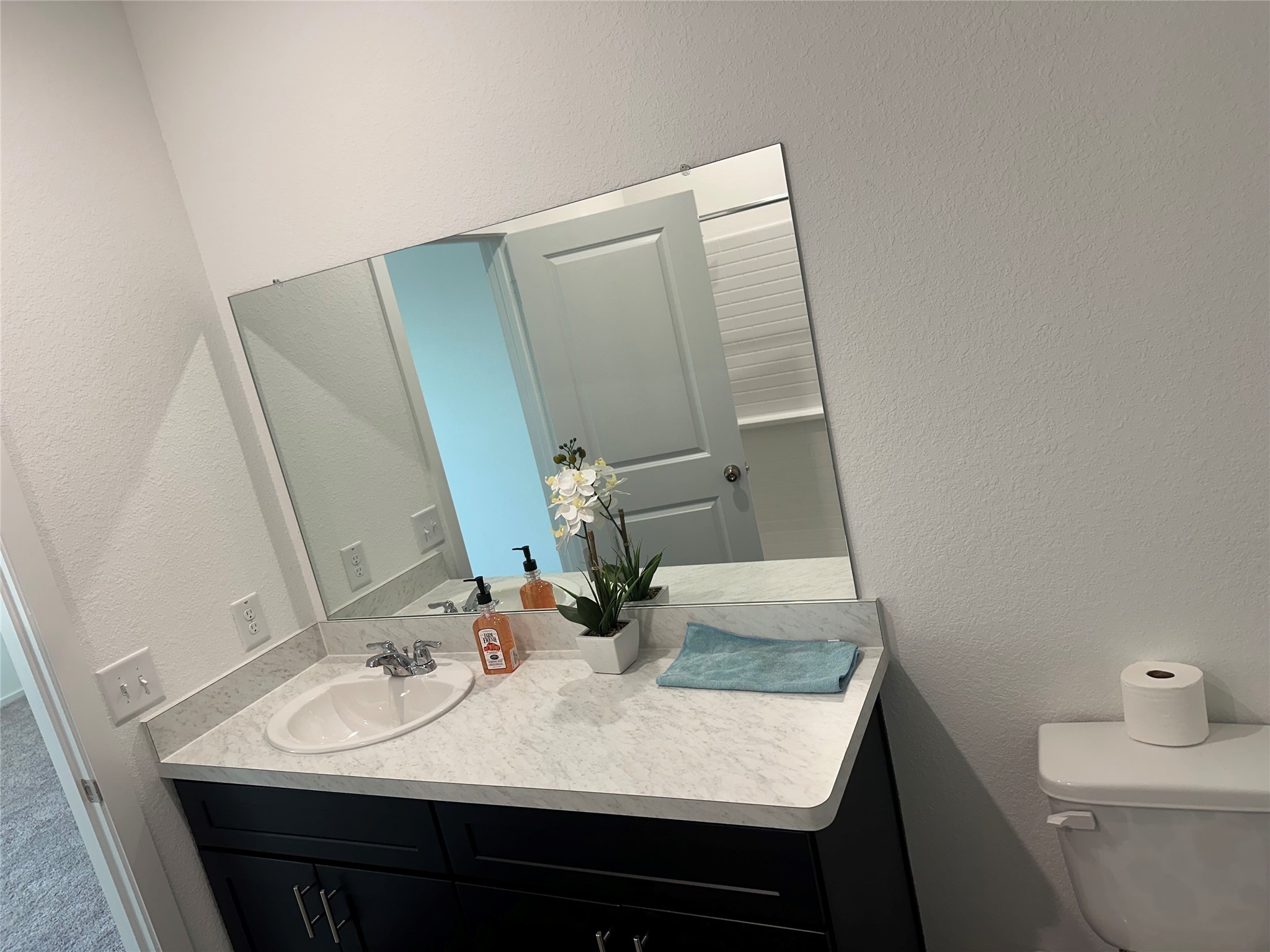 16936 Juniper Blossom Bend Conroe, TX 77302 - Photo 14 of 28 a bathroom with a sink and mirror with toilet