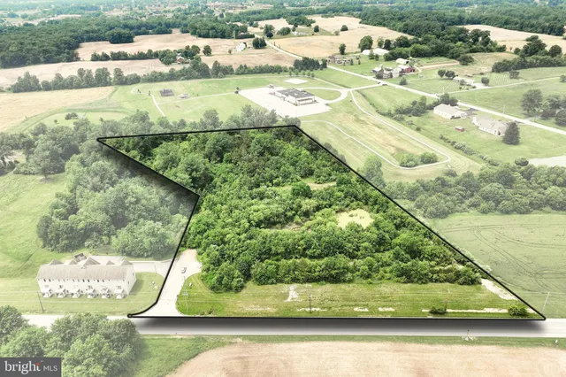 a view of swimming pool with a yard and large trees