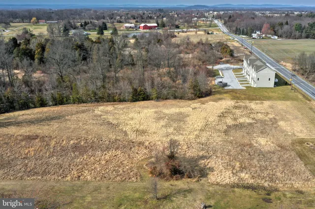 a view of a forest with a mountain view