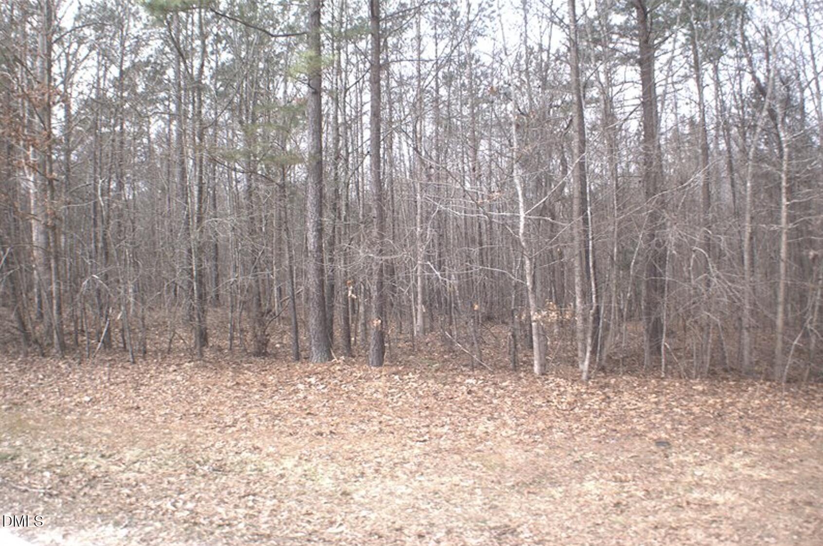 0 Martin Pond Road Wendell, NC 27591 - Photo 3 of 4 treeview