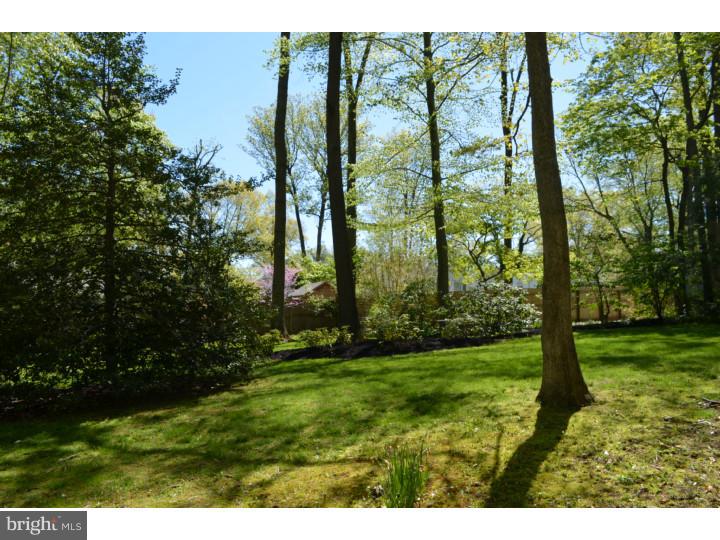 47 Lochatong Road Ewing, NJ 08628 - Photo 22 of 24