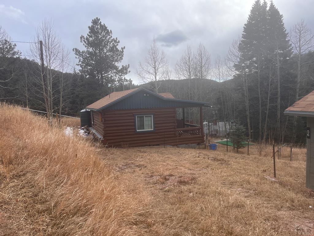 62 County Road 377, Unit 62 Rye, CO 81069 - Photo 2 of 15