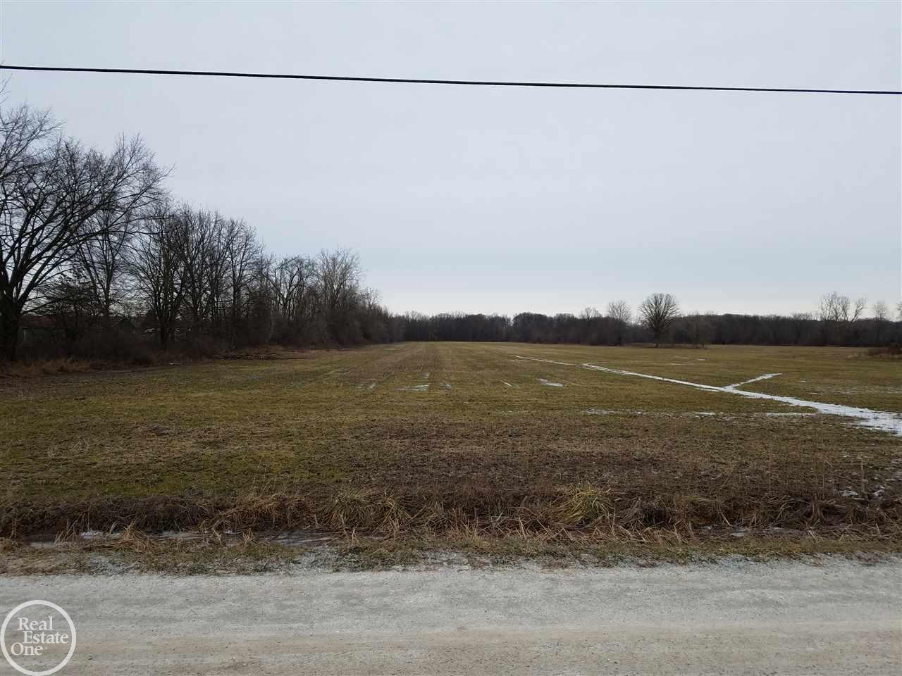 0 Springborn Road Casco, MI 48064 - Photo 1 of 2