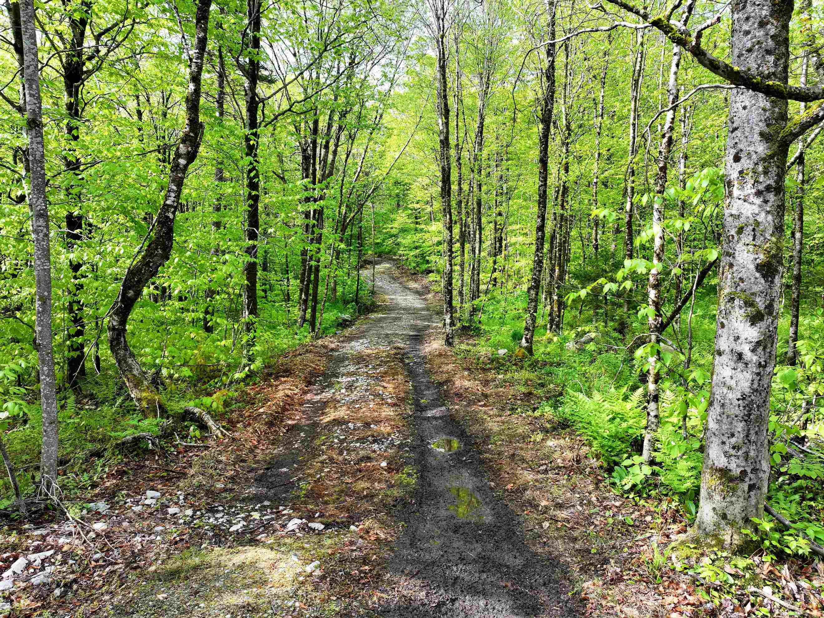 564 Eagles Nest Road Ripton, VT 05766 - Photo 9 of 23