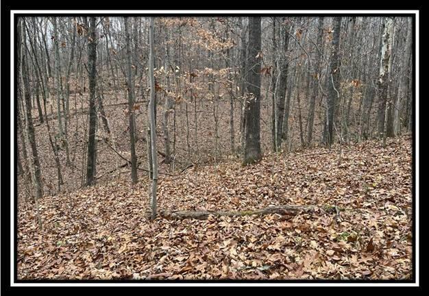 35887 Buck Run Road, Unit TRACT 7 Langsville, OH 45741 - Photo 19 of 37 image019