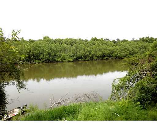 Lot 46 Benjo Road McLain, MS 39456 - Photo 3 of 20 Additional Photo