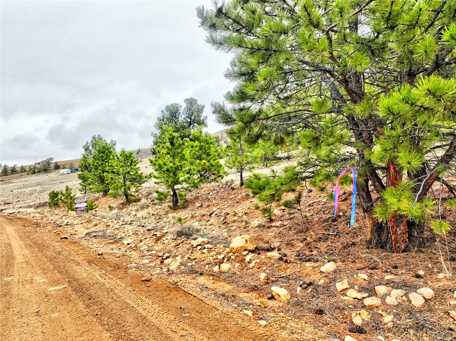831 Cohonina Road Hartsel, CO 80449 - Photo 5 of 16 View of nature