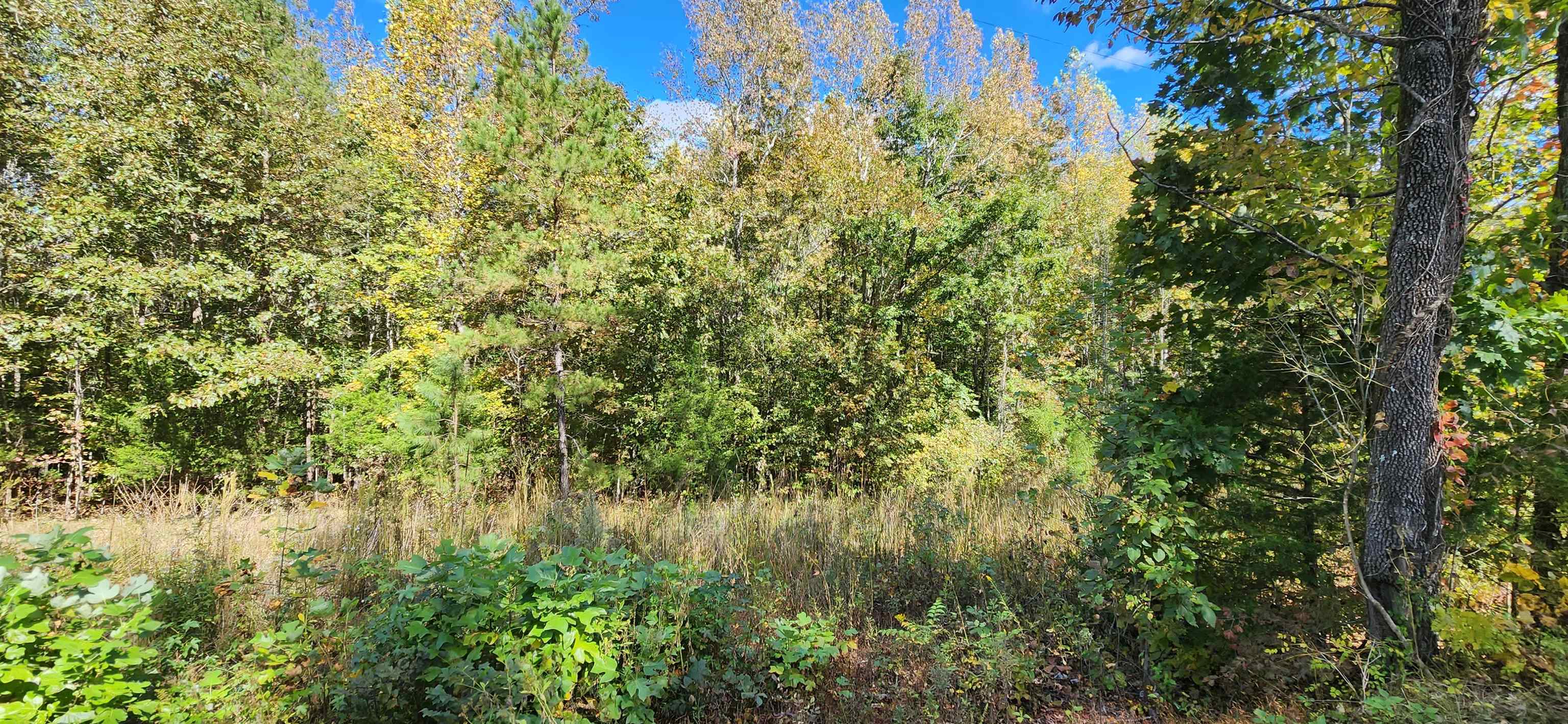 0 Sardis Road Gaffney, SC 29340 - Photo 1 of 8
