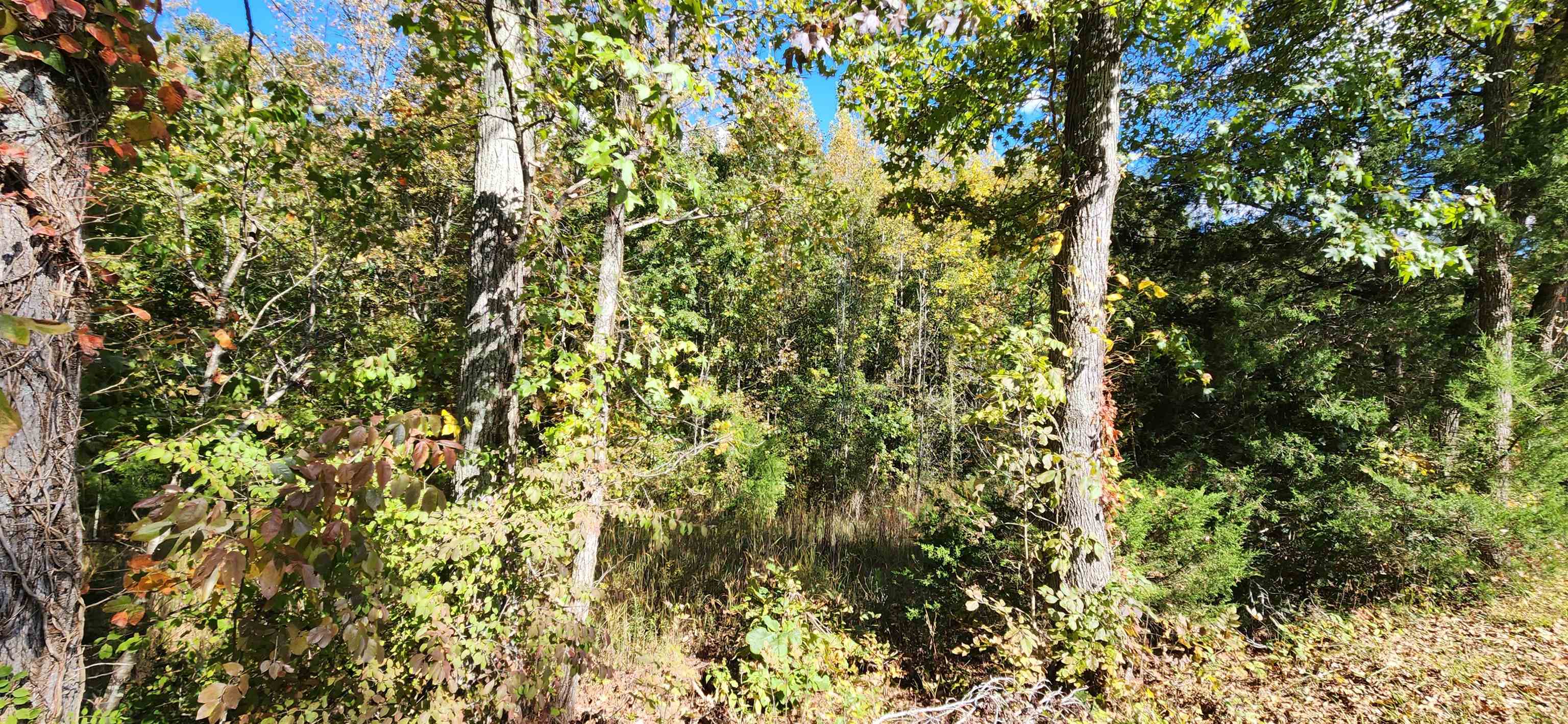 0 Sardis Road Gaffney, SC 29340 - Photo 2 of 8