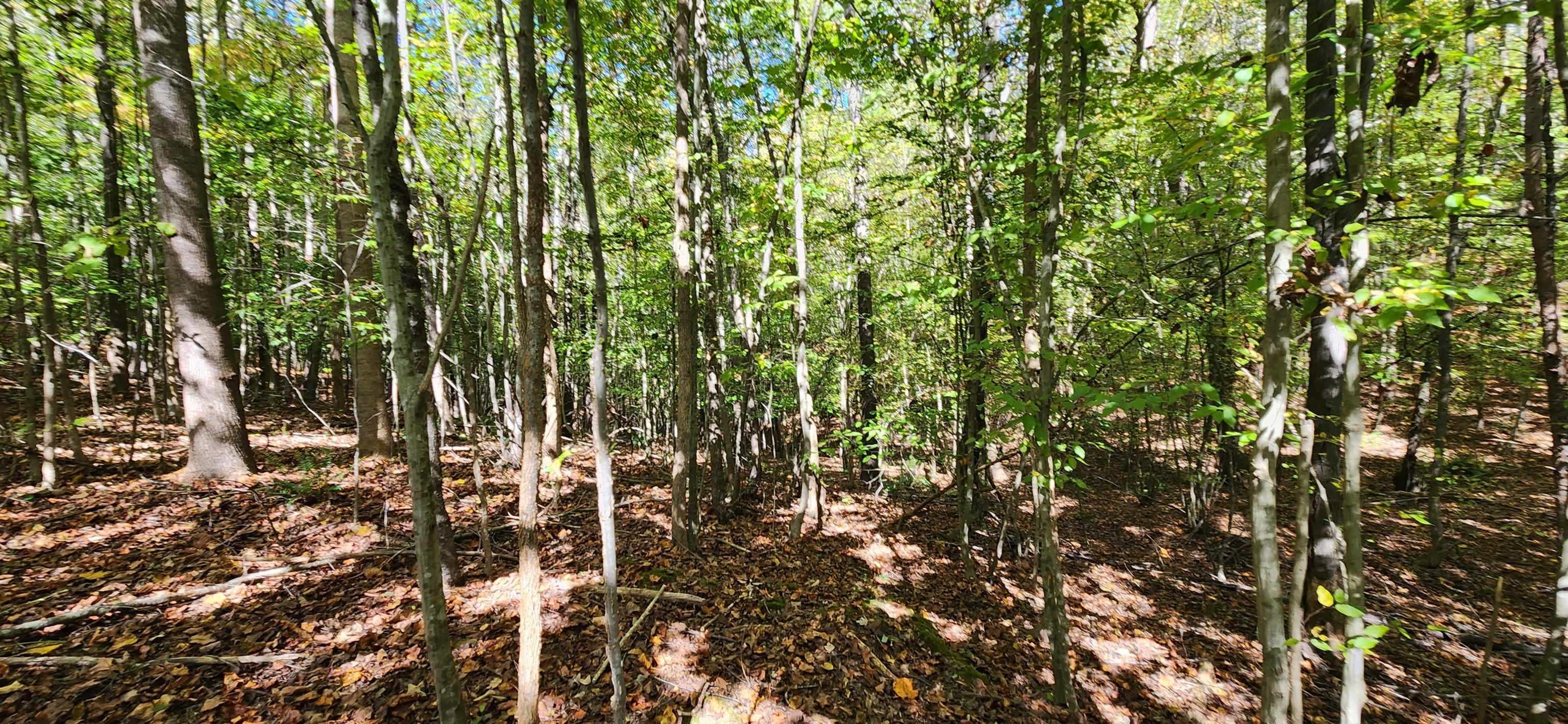 0 Sardis Road Gaffney, SC 29340 - Photo 5 of 8