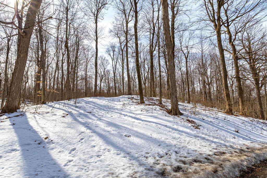 0 Eaglenest Road West Liberty, OH 43357 - Photo 11 of 45