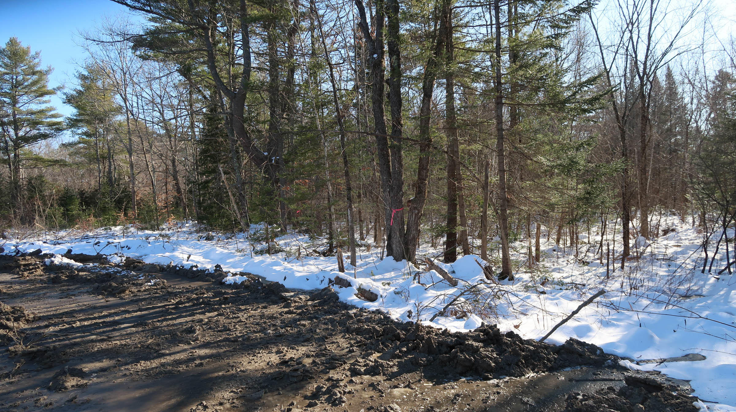 0 Parker Road Pittston, ME 04345 - Photo 3 of 11 IMG_0876