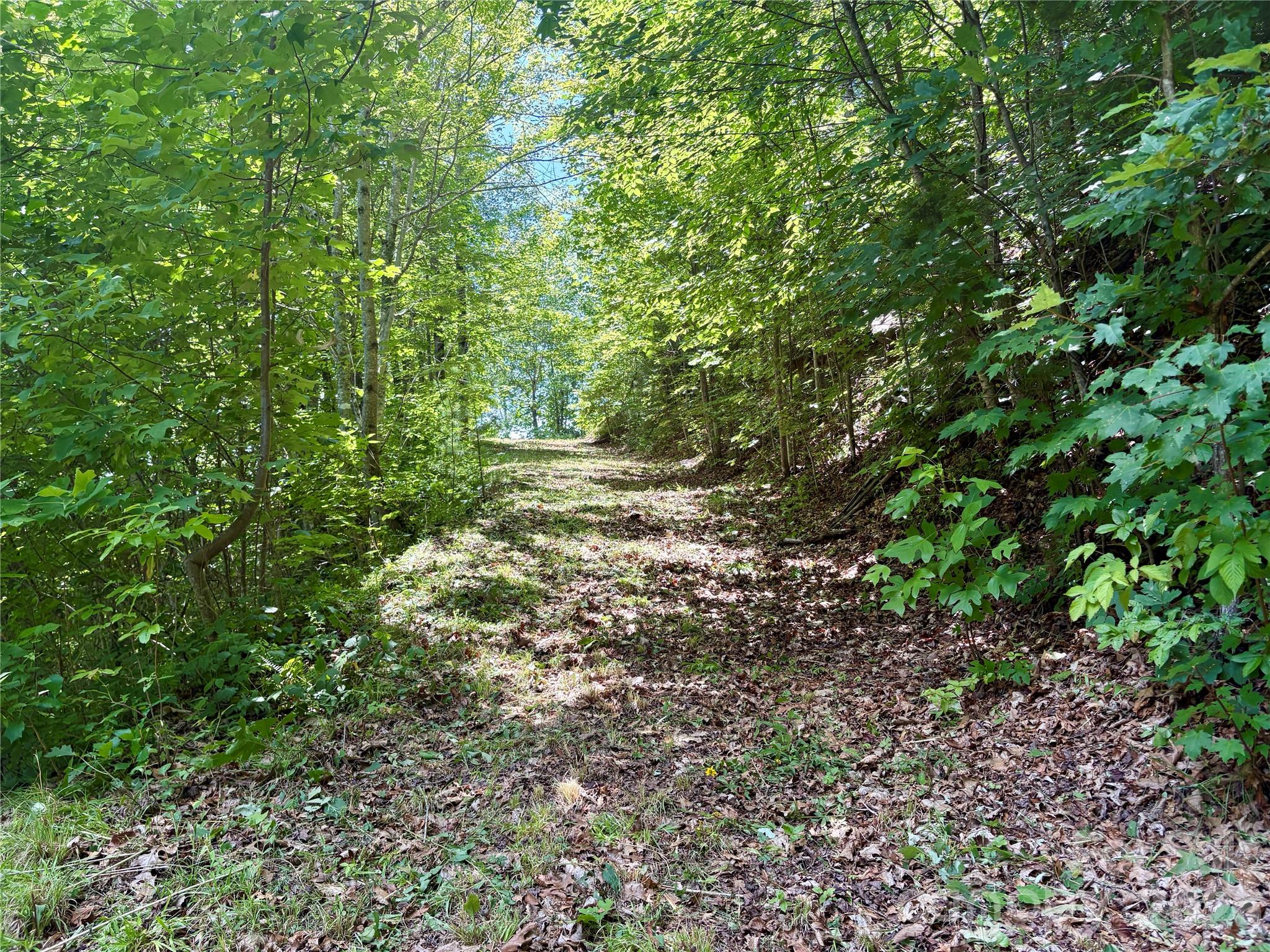 0 Eagles Roost Road, Unit 70 Bryson City, NC 28713 - Photo 10 of 14 a view of a yard with a tree