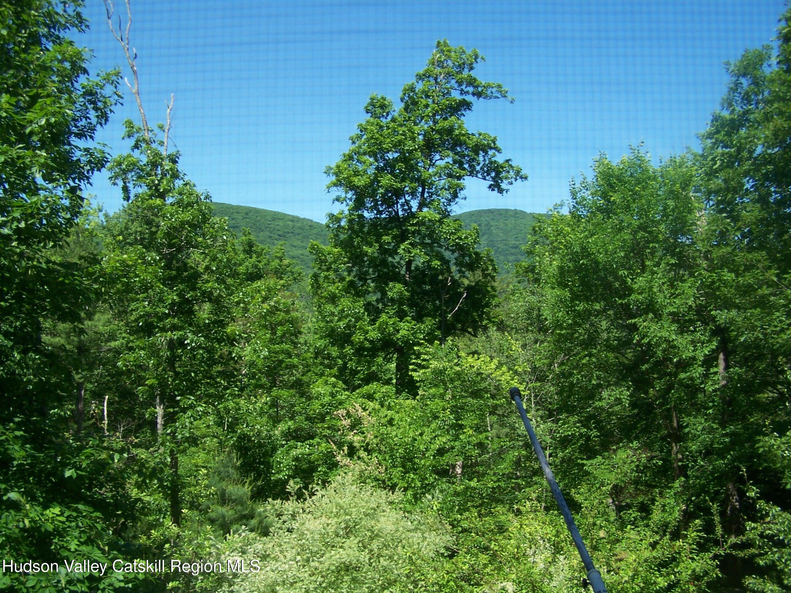 12 Mountain Valley Road Boiceville, NY 12412 - Photo 3 of 10 100_2293