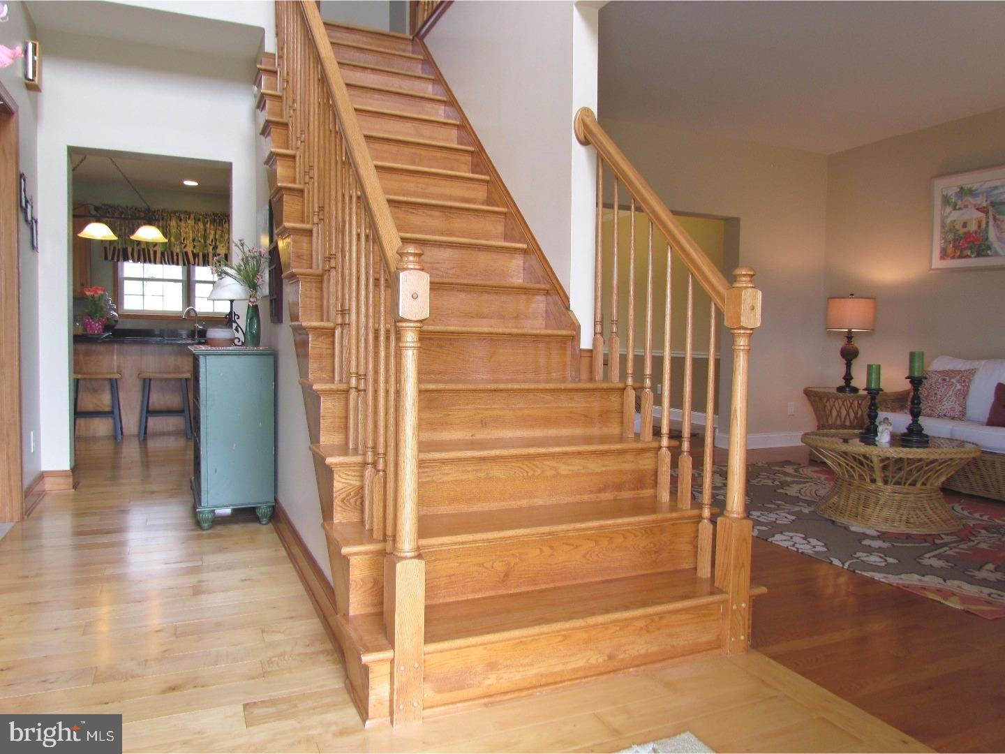 244 Chestnut Ridge Drive Magnolia, DE 19962 - Photo 4 of 25 Foyer