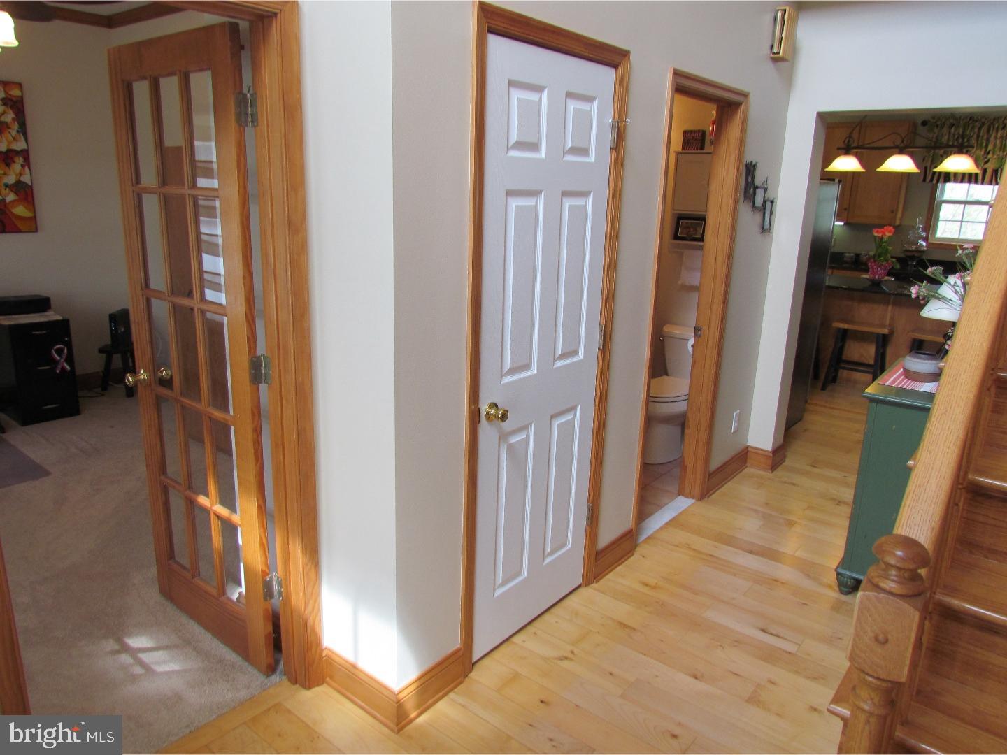 244 Chestnut Ridge Drive Magnolia, DE 19962 - Photo 5 of 25 Foyer