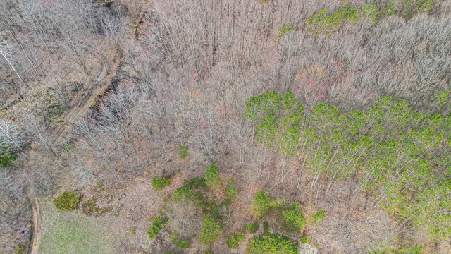 $65,500 | 9.7 Vail Drive, Cadillac, MI 49601