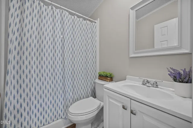 a bathroom with a sink a toilet and vanity