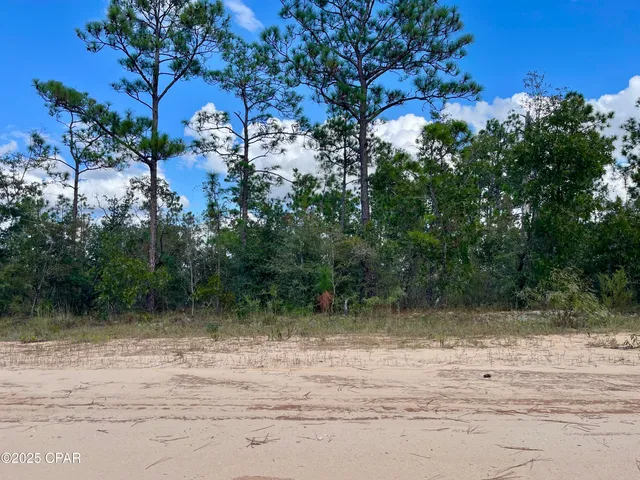 $8,500 | 0 Frederica, Alford, FL 32420