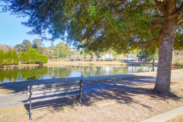 $335,000 | 113 Amaranth Avenue, Summerville, SC 29483