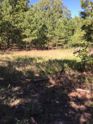 541 Gunter Pond Road Wagener, SC 29164 - Photo 3 of 6