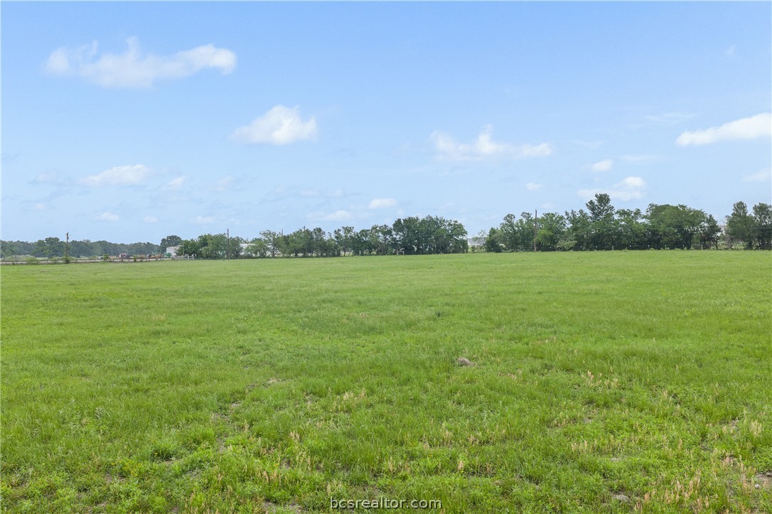 2095 & Prairie Cameron, TX 76520 - Photo 21 of 27 a view of a big yard with plants and large trees