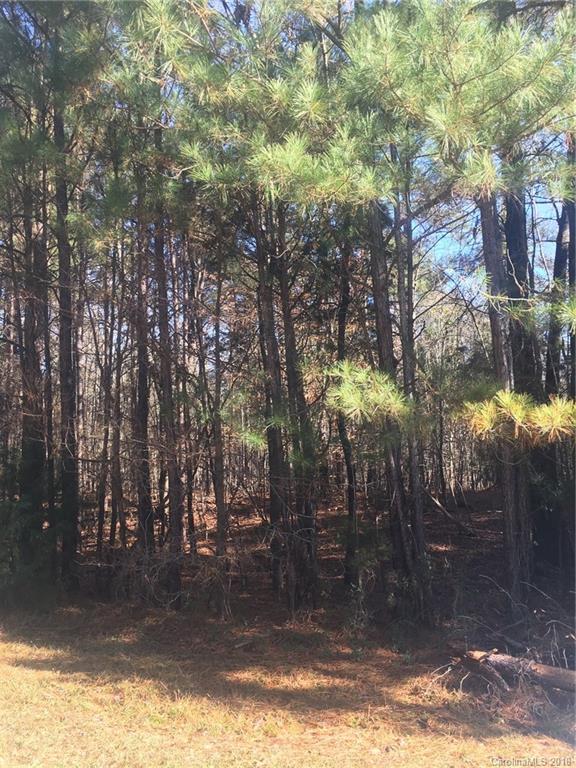 14 Goblet Road Richburg, SC 29729 - Photo 3 of 6 Gallery Image 3