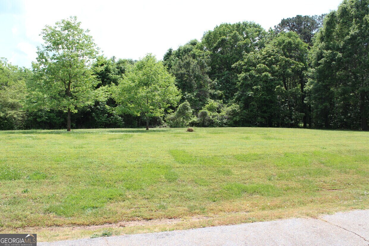 5246 Highway 441 Nicholson, GA 30565 - Photo 25 of 31