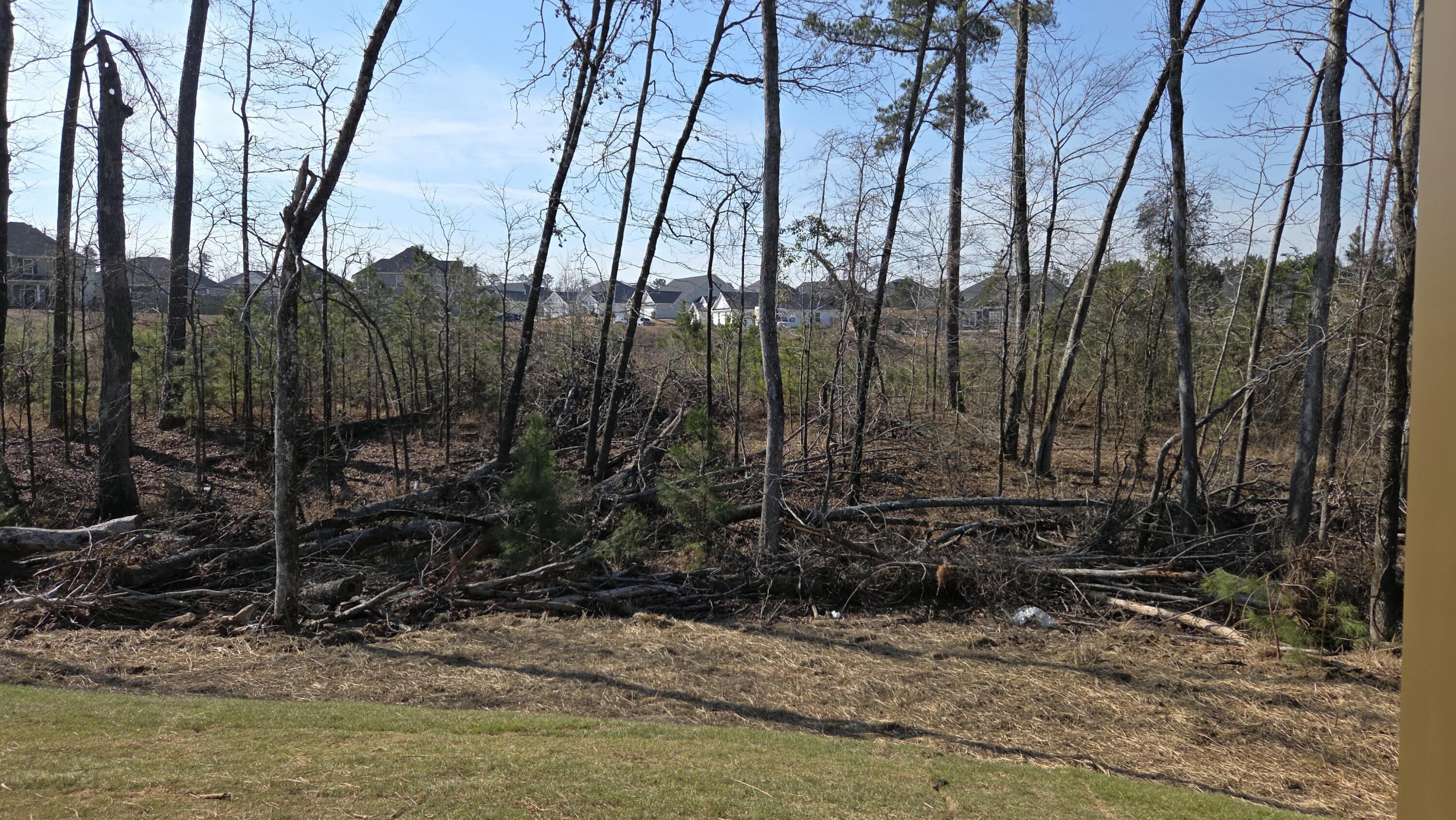 655 Ronaldsay Road Grovetown, GA 30813 - Photo 45 of 55 Rear View from Basement