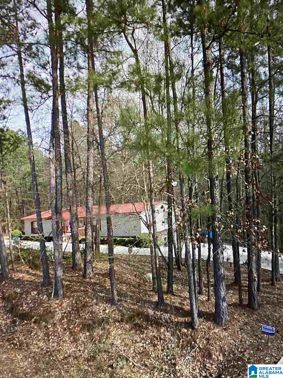 837 Meadow River Road Talladega, AL 35160 - Photo 24 of 24
