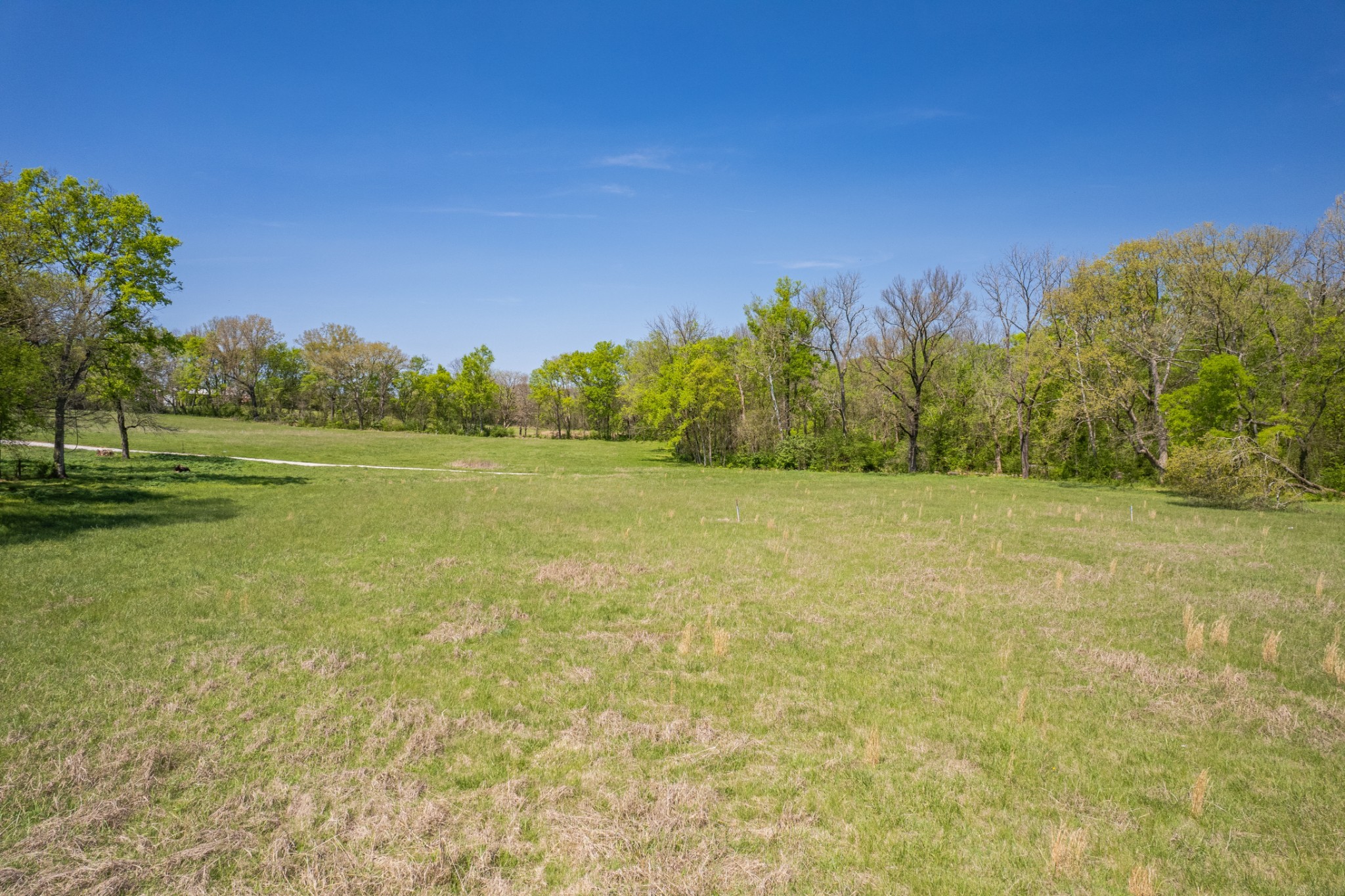 4 Old Zion Road Columbia, TN 38401 - Photo 64 of 67 Gallery Image 64